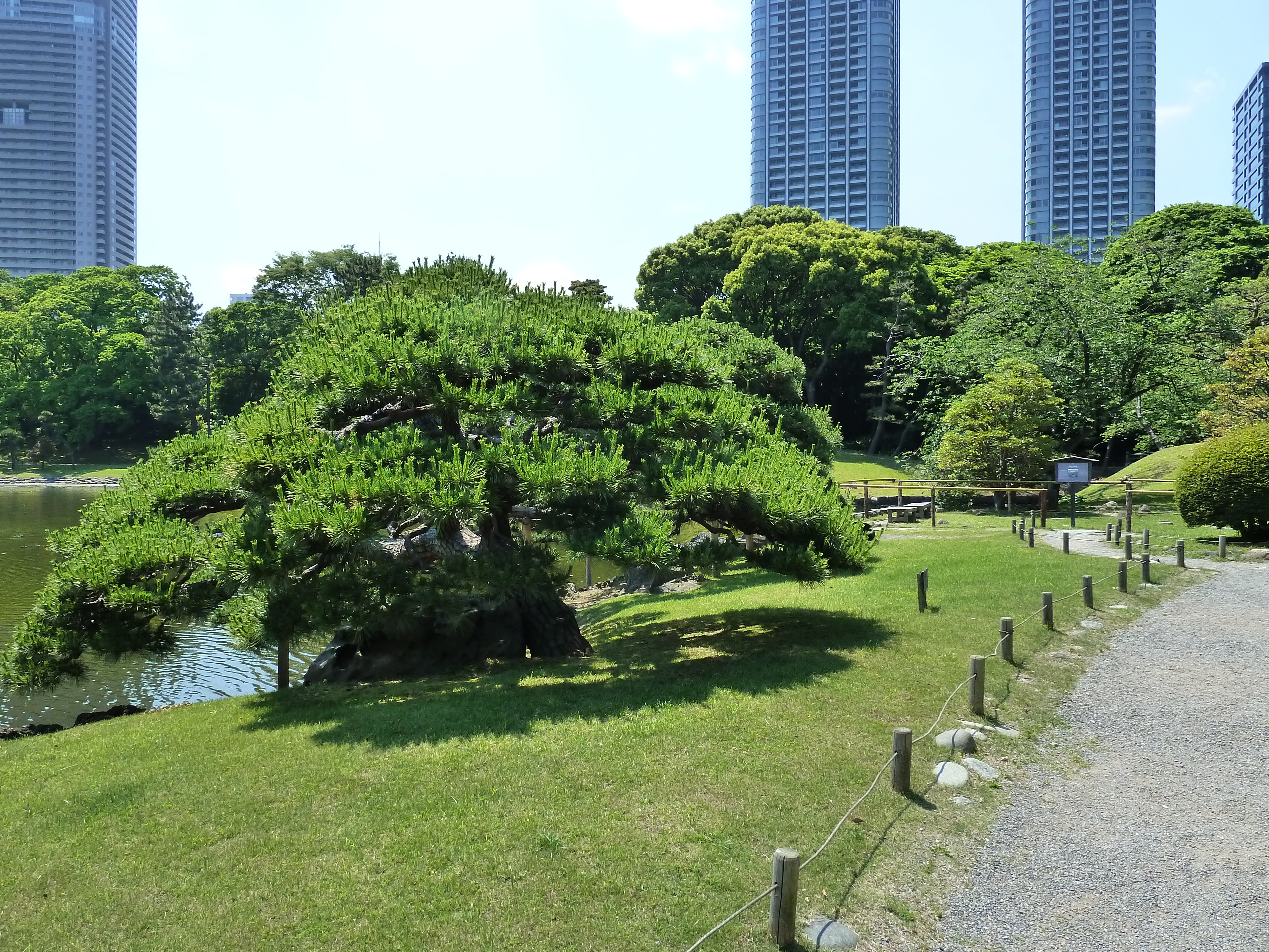 Picture Japan Tokyo Hama rikyu Gardens 2010-06 53 - Recreation Hama rikyu Gardens