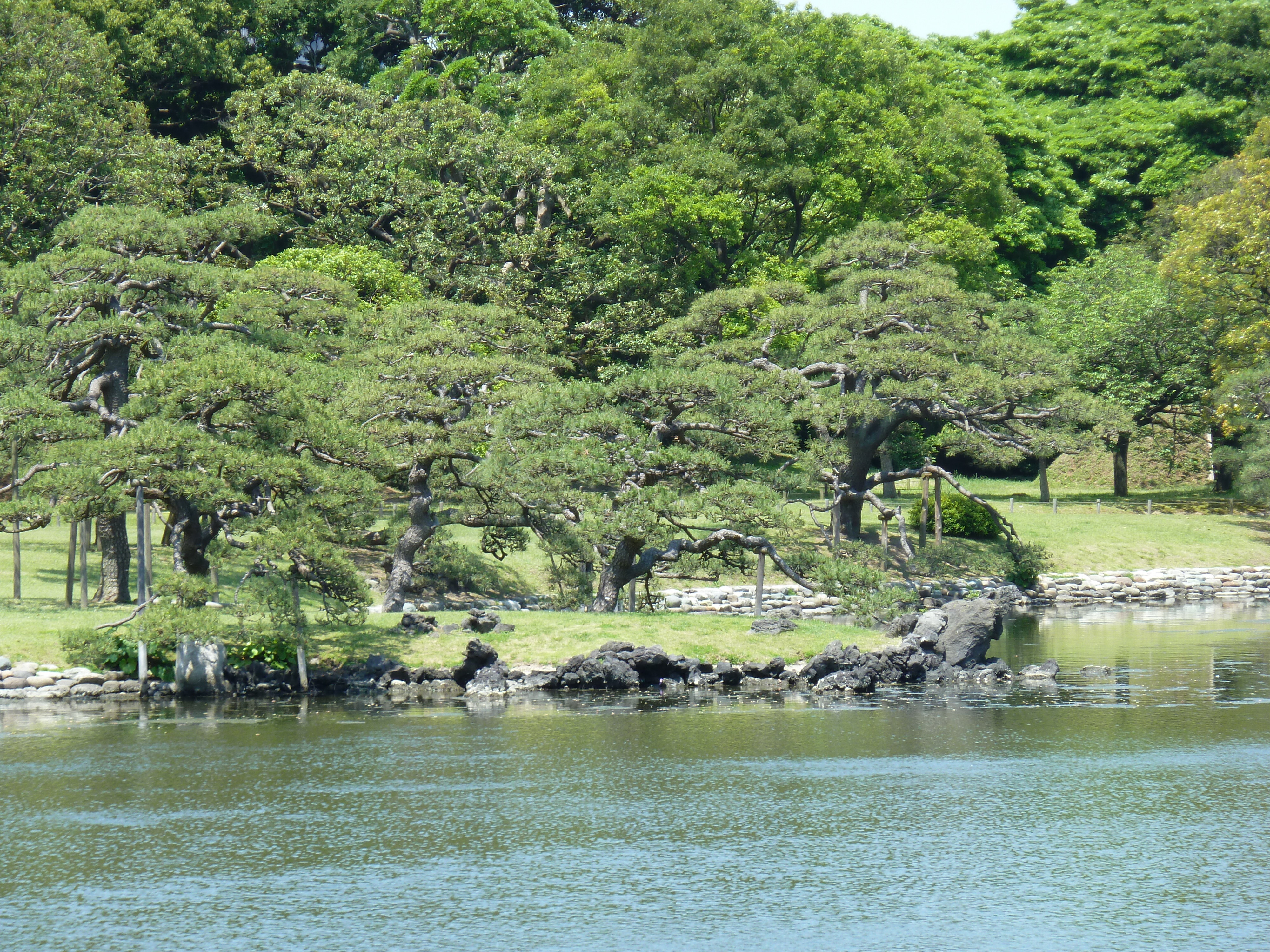 Picture Japan Tokyo Hama rikyu Gardens 2010-06 45 - Tour Hama rikyu Gardens