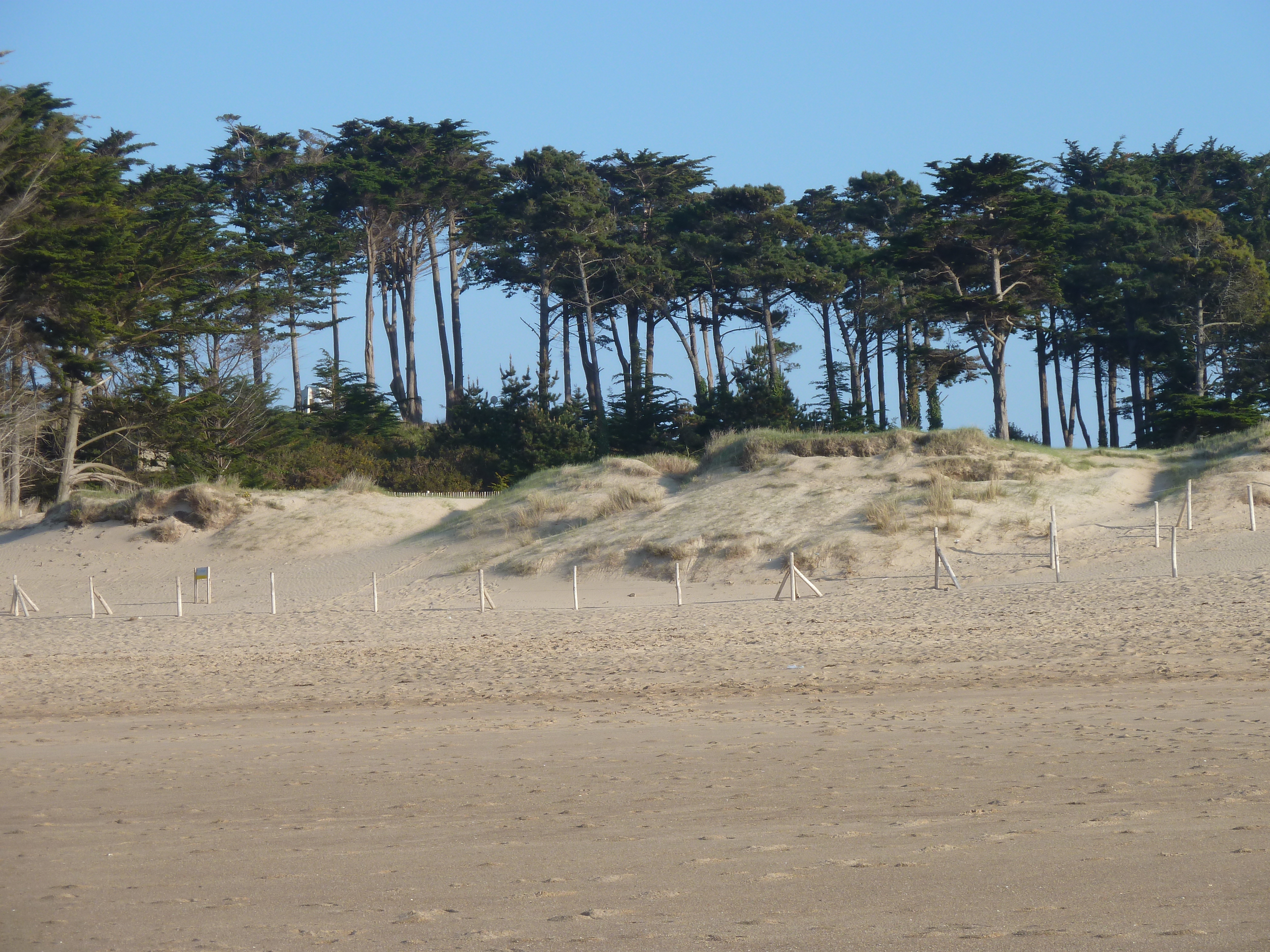 Picture France St Coulomb Chevrets Beach 2010-04 30 - Around Chevrets Beach