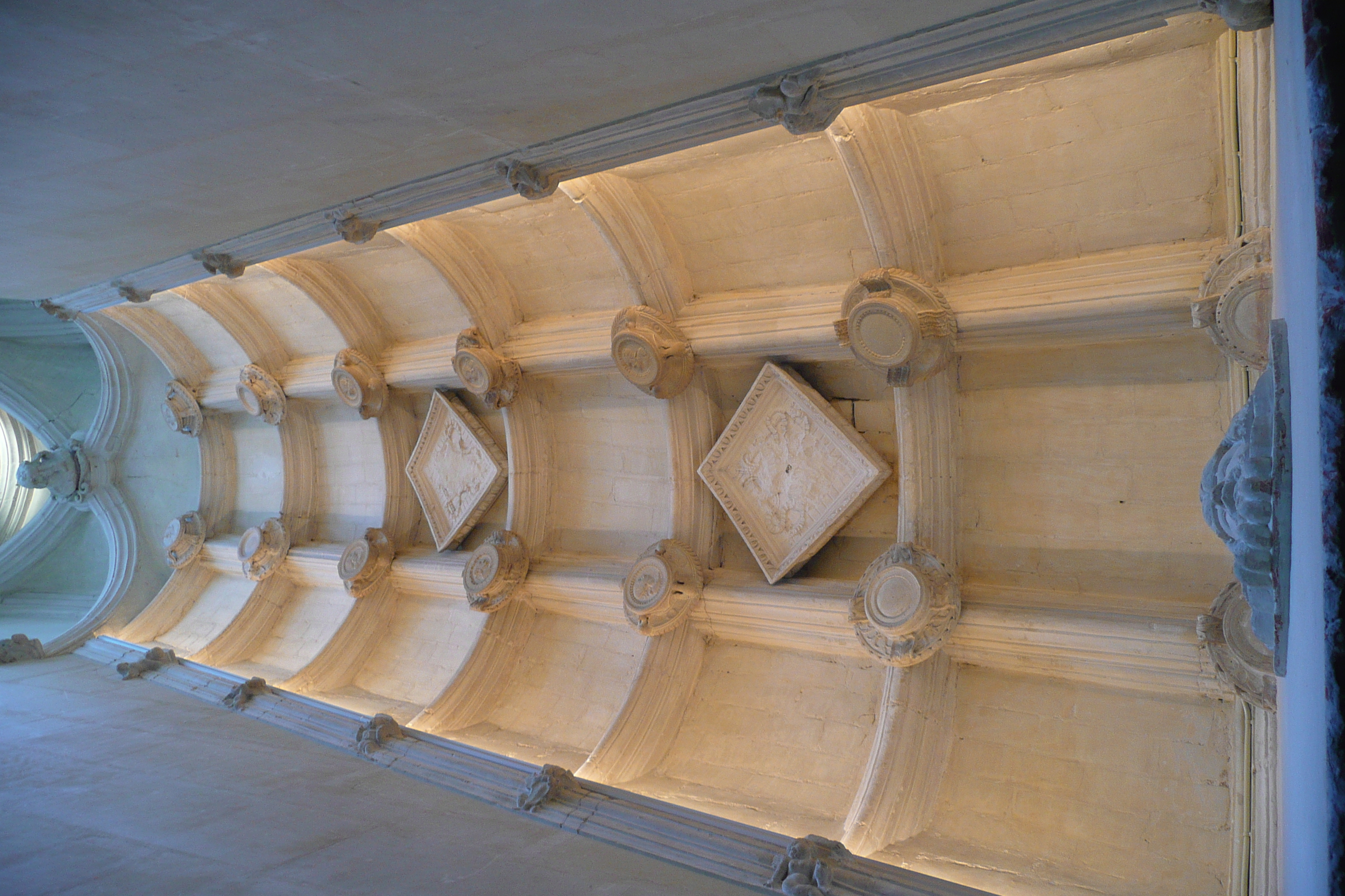 Picture France Chenonceau Castle 2008-04 89 - Center Chenonceau Castle