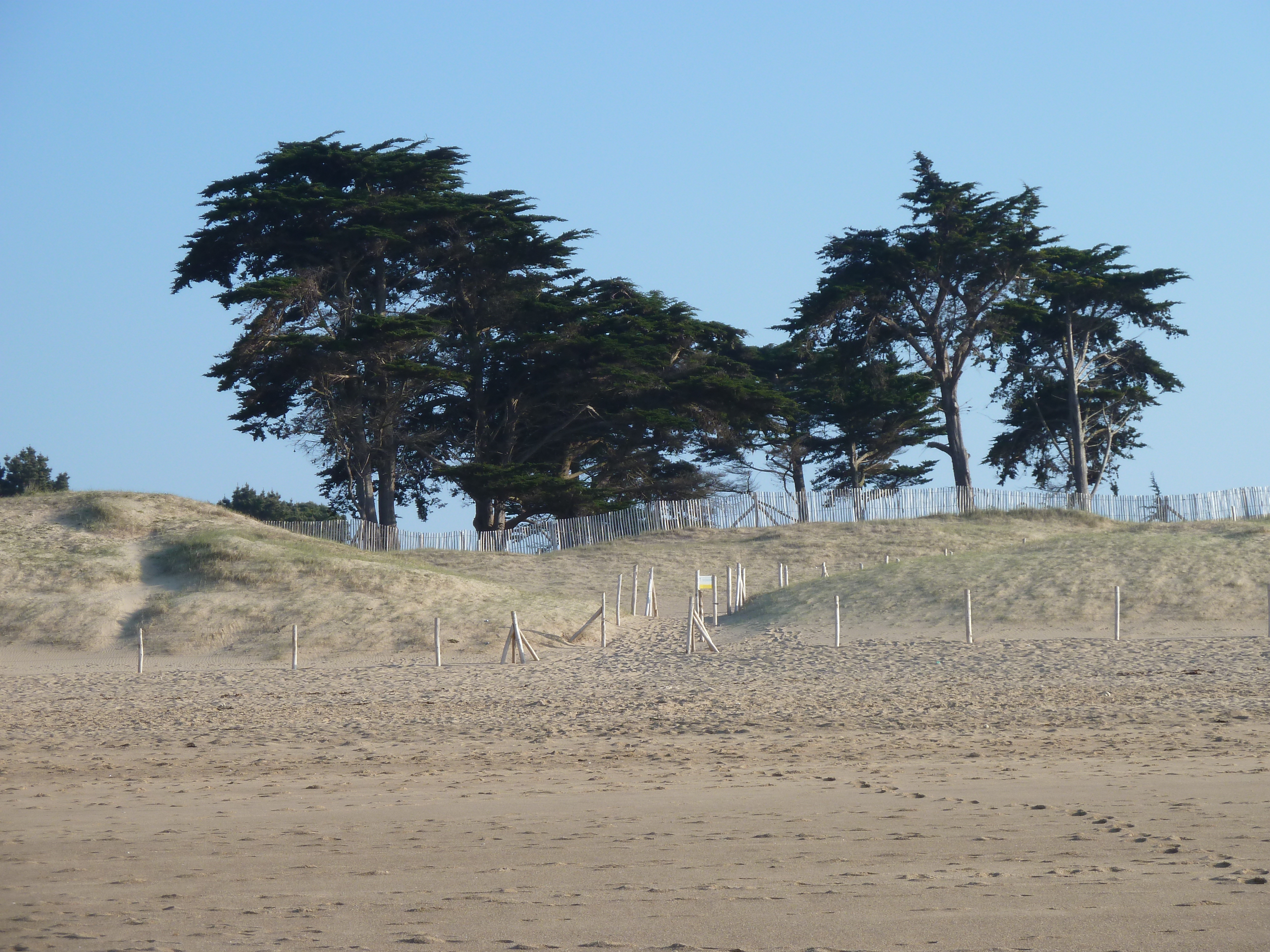 Picture France St Coulomb Chevrets Beach 2010-04 40 - Around Chevrets Beach