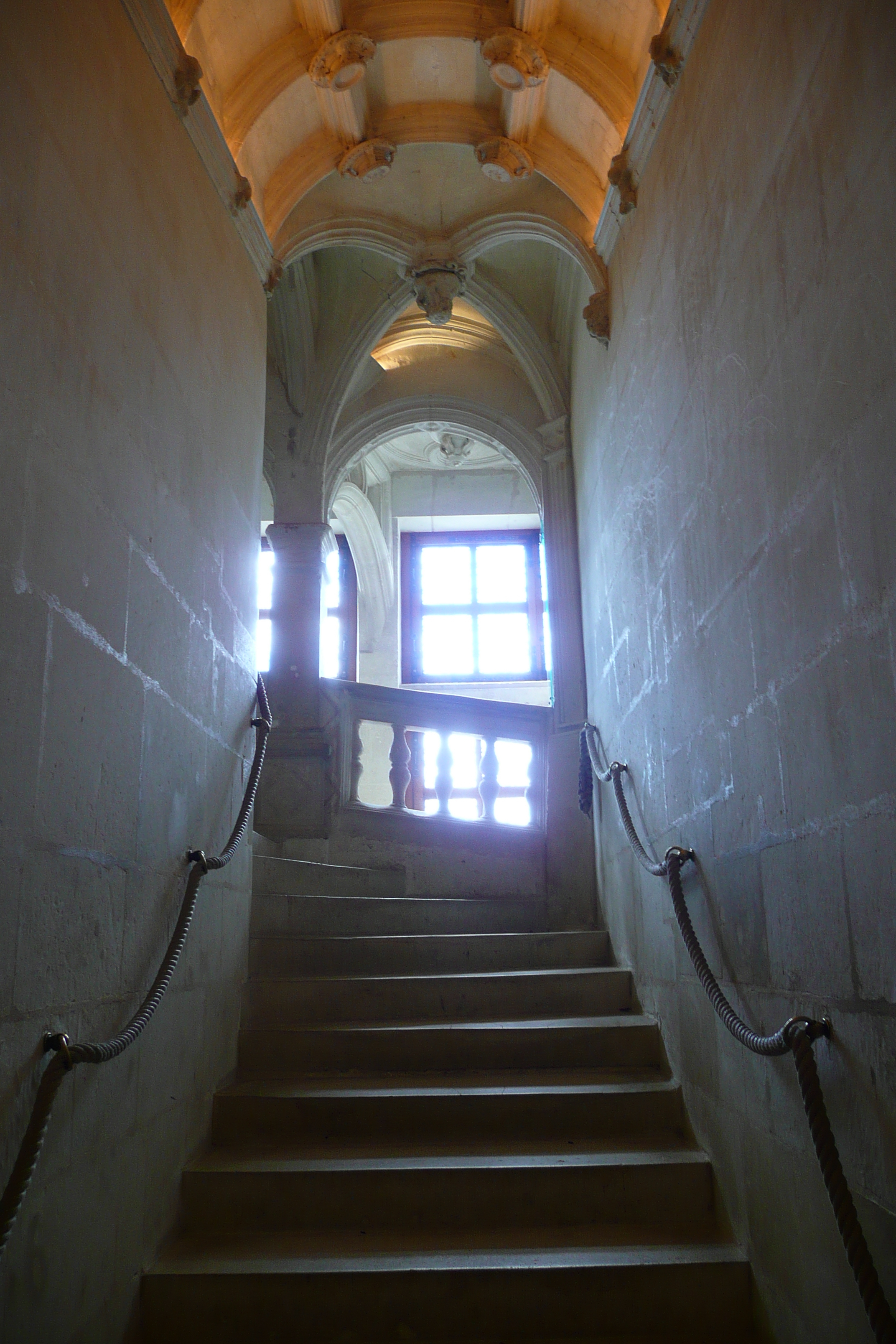 Picture France Chenonceau Castle 2008-04 94 - Discovery Chenonceau Castle