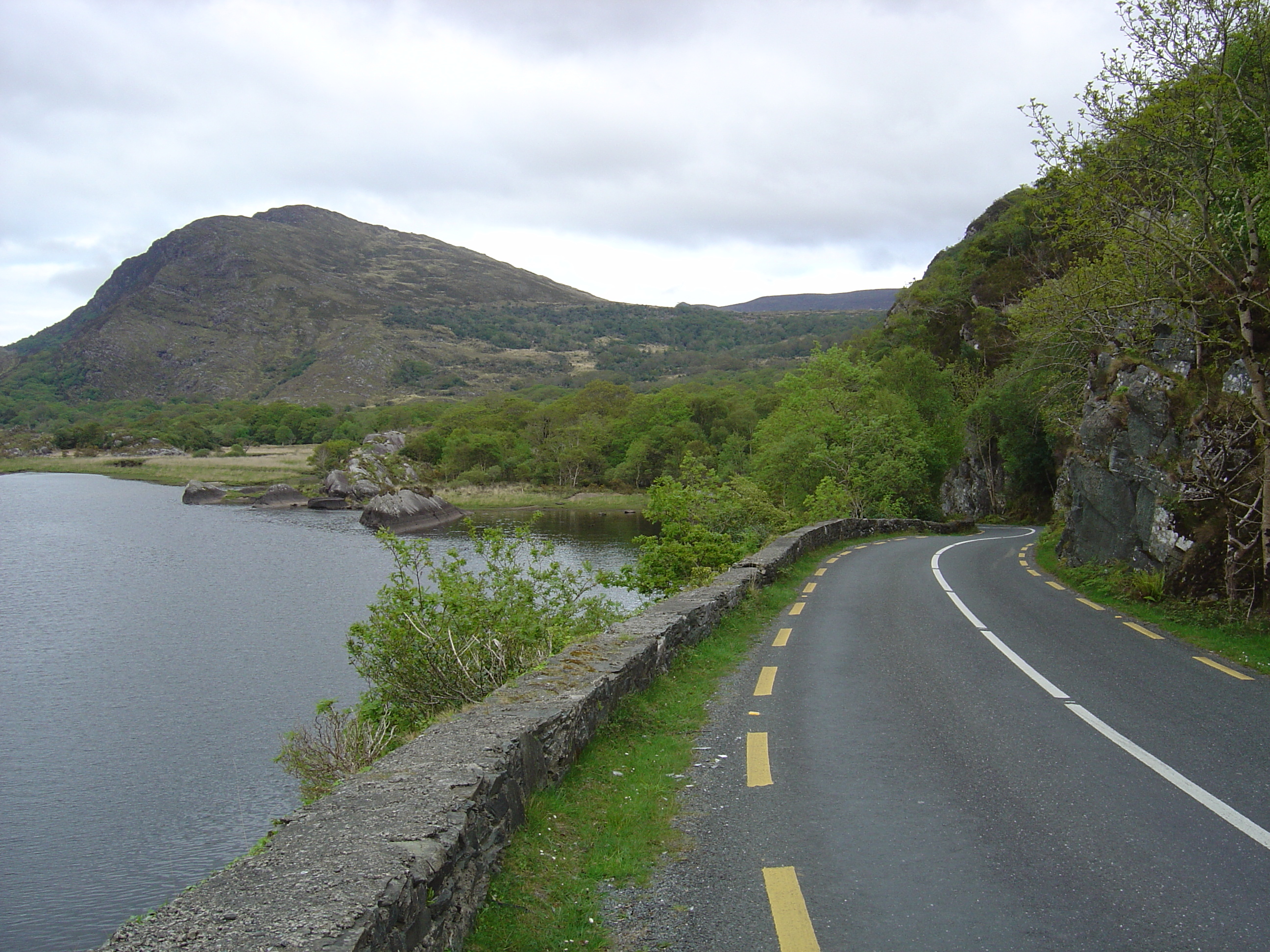 Picture Ireland Kerry Killarney National Park 2004-05 13 - Tours Killarney National Park