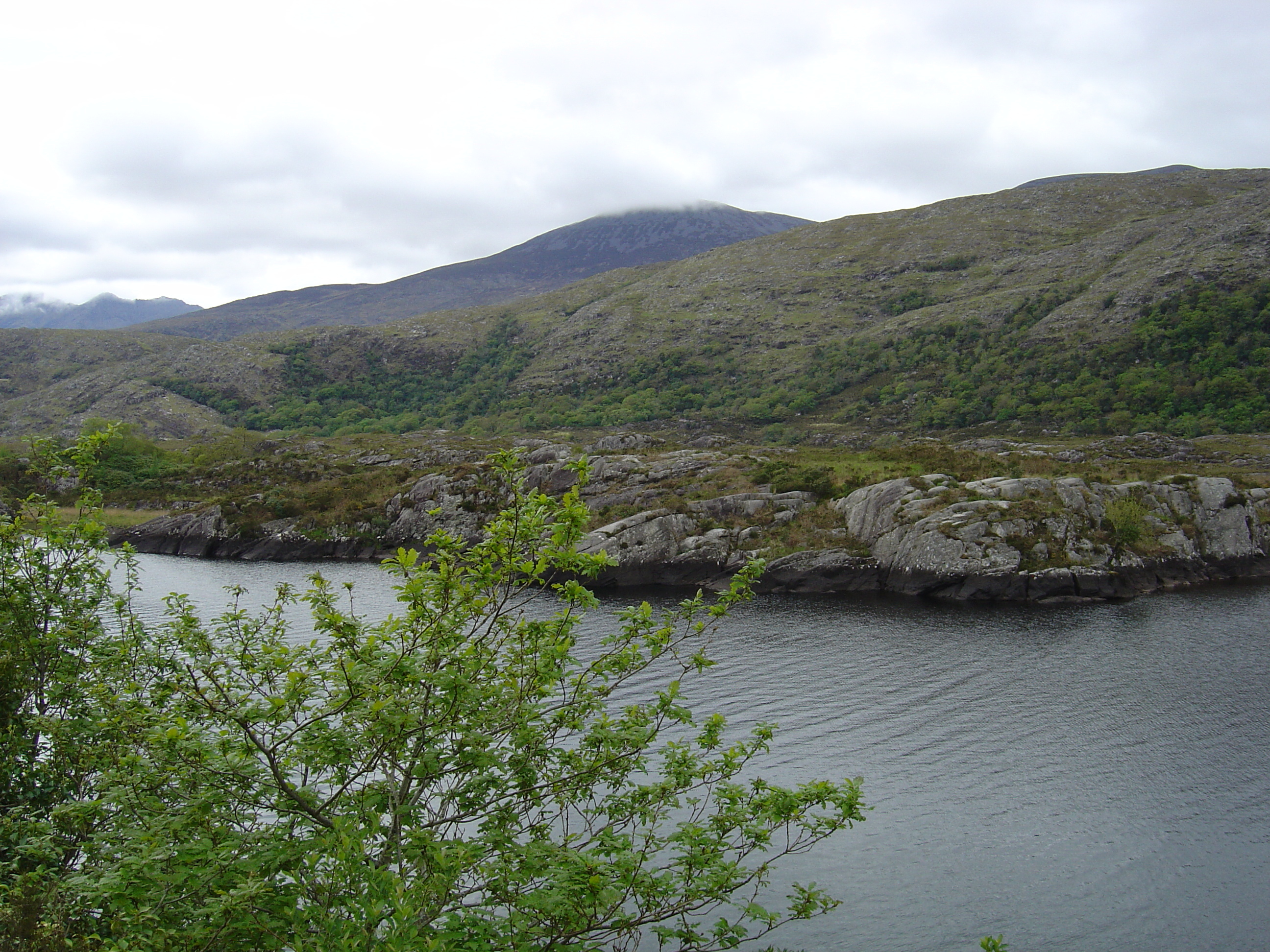 Picture Ireland Kerry Killarney National Park 2004-05 24 - Tour Killarney National Park