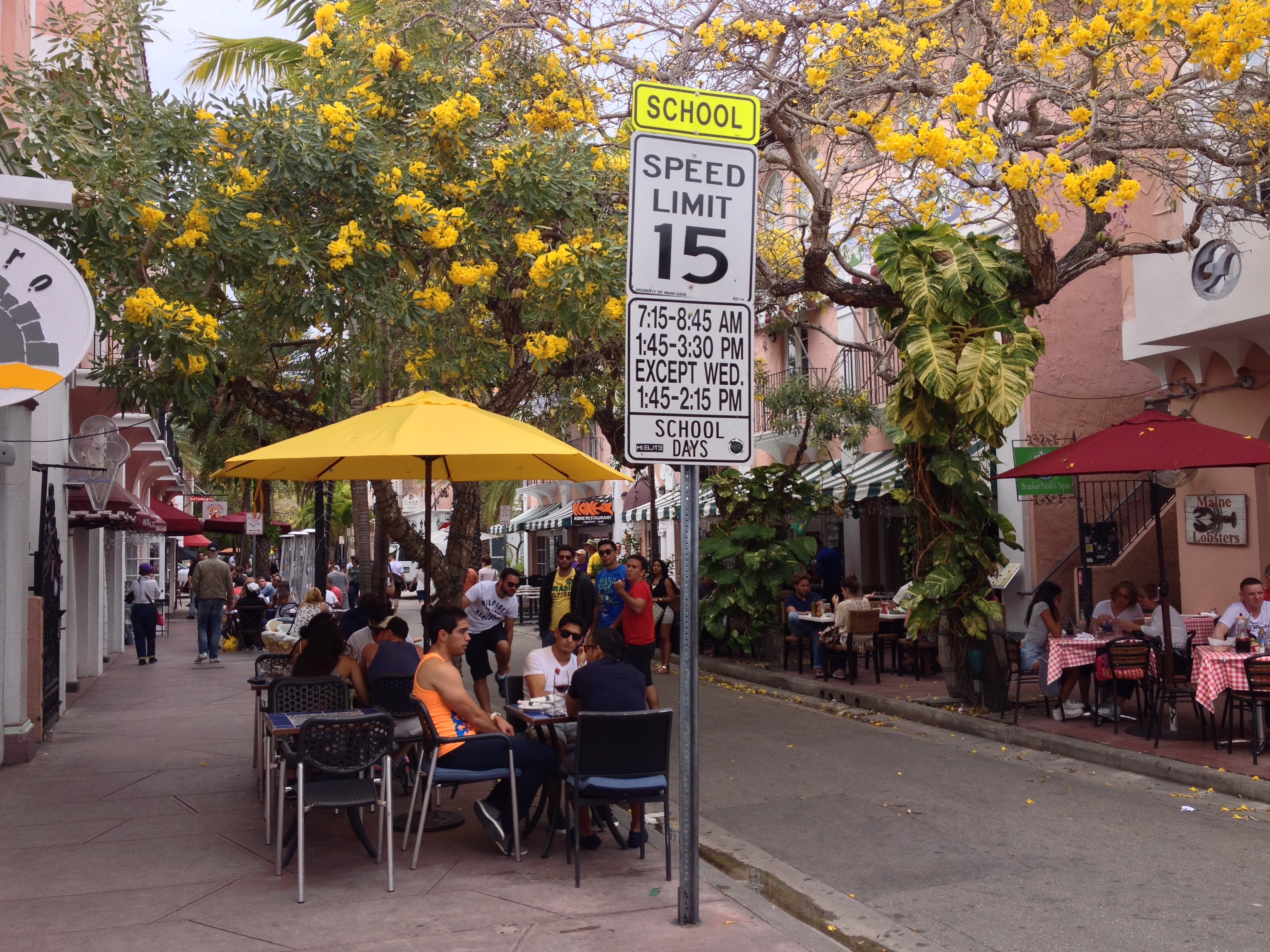 Picture United States Miami Beach 2015-03 80 - Discovery Miami Beach