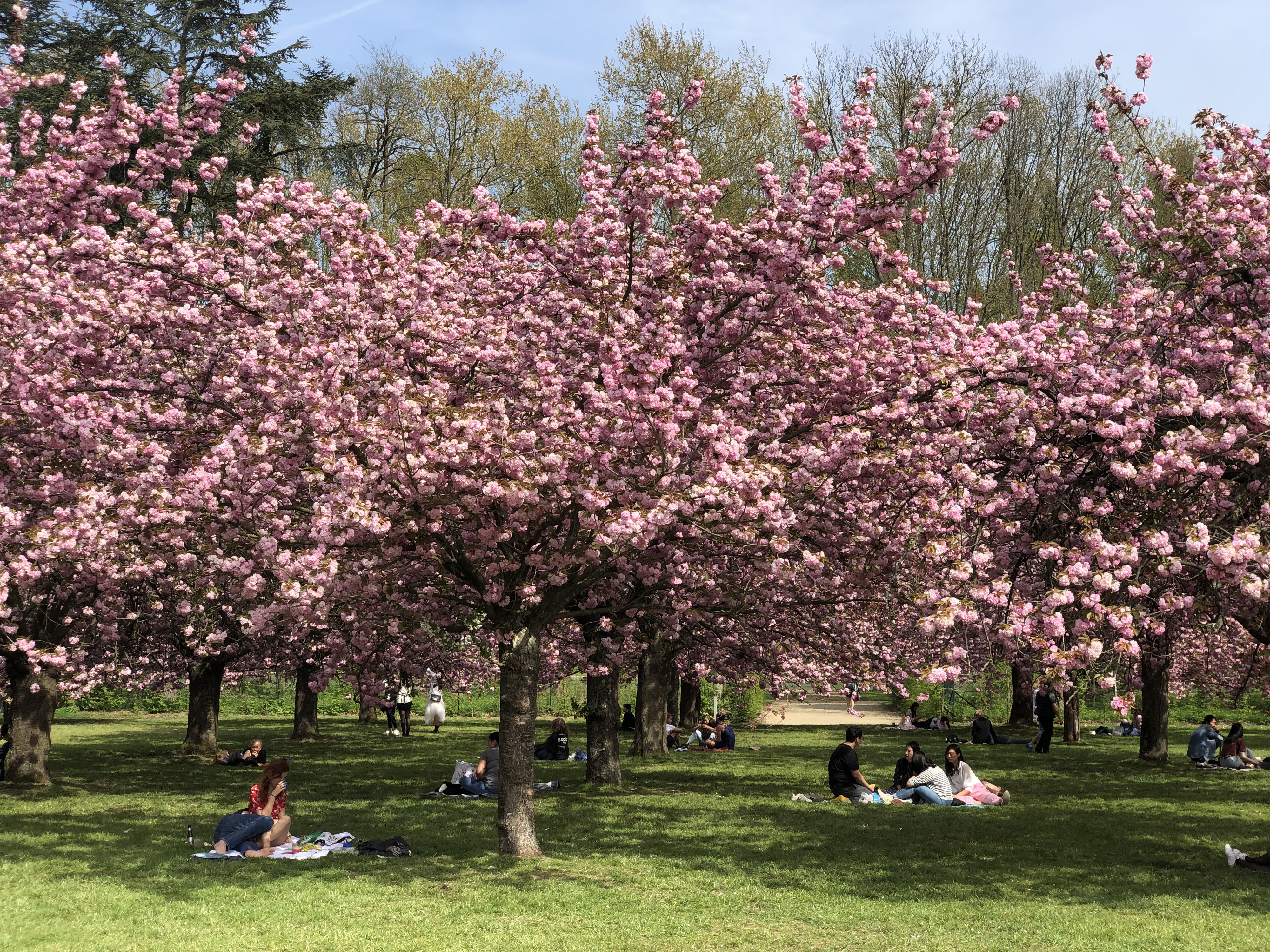 Picture France Parc de Sceaux 2019-04 64 - Tours Parc de Sceaux