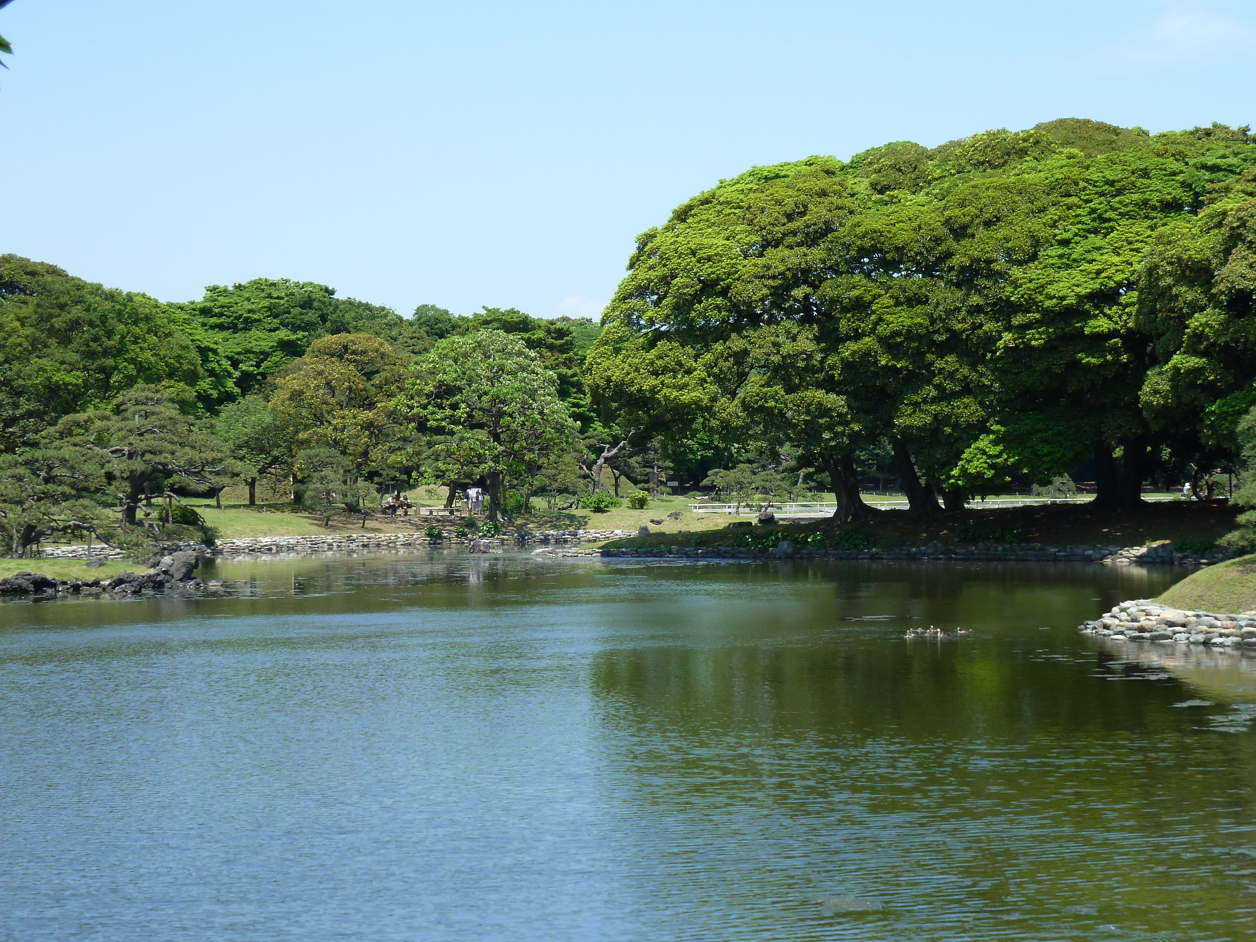 Picture Japan Tokyo Hama rikyu Gardens 2010-06 33 - Center Hama rikyu Gardens