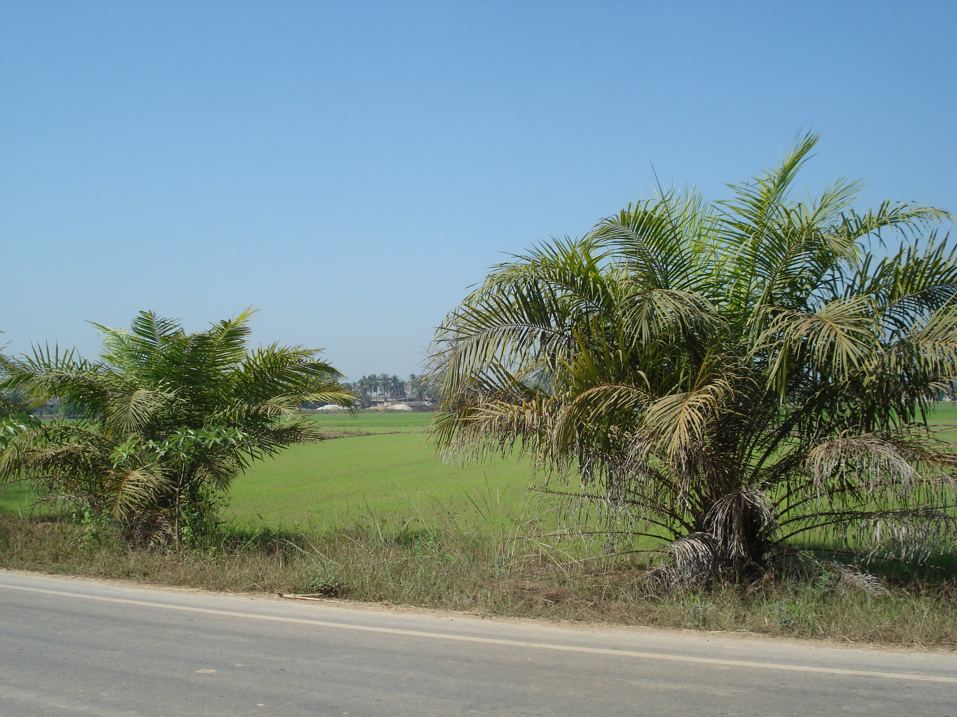 Picture Thailand Phitsanulok 2008-01 2 - Center Phitsanulok