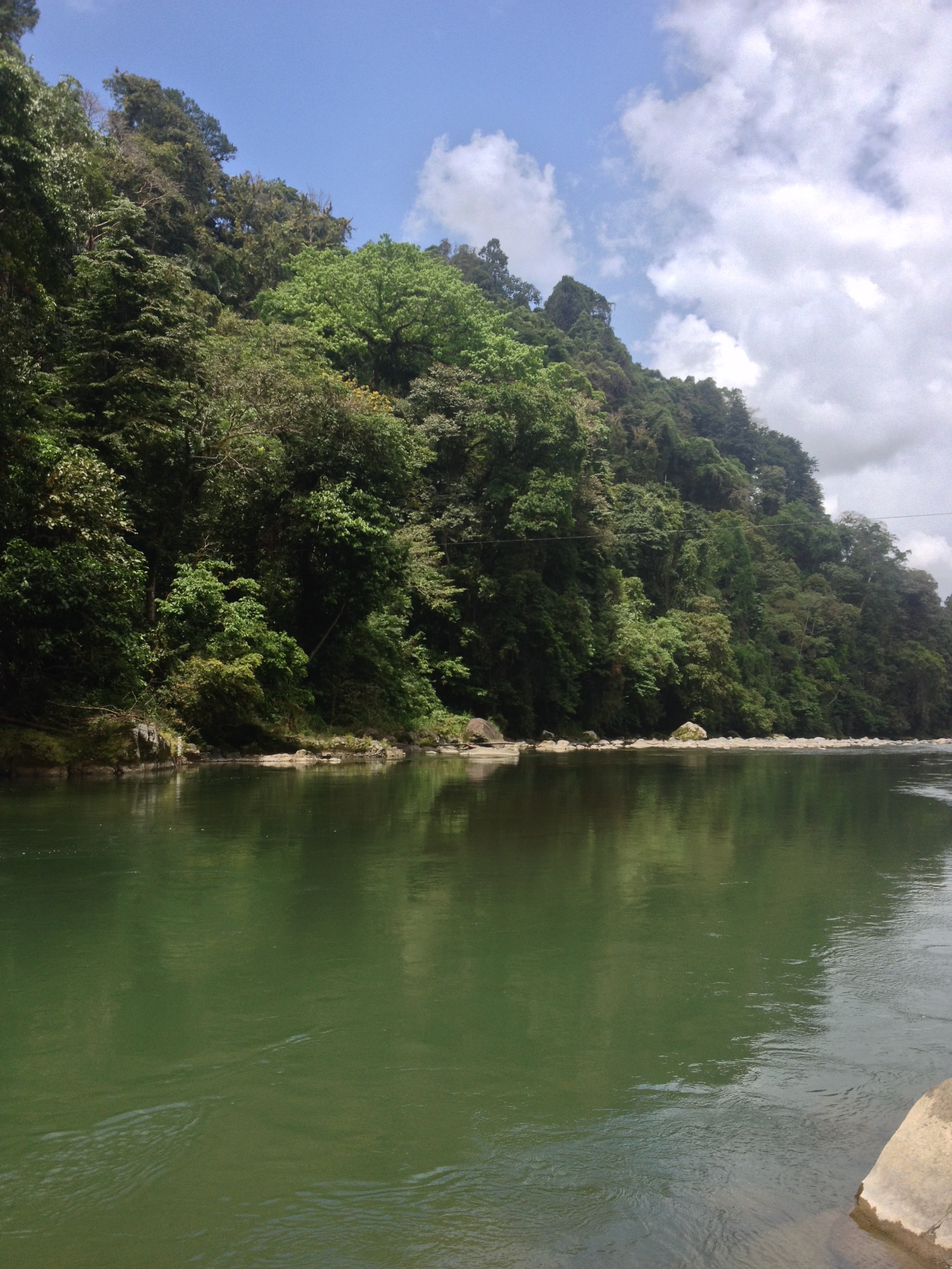 Picture Costa Rica Pacuare River 2015-03 193 - Around Pacuare River