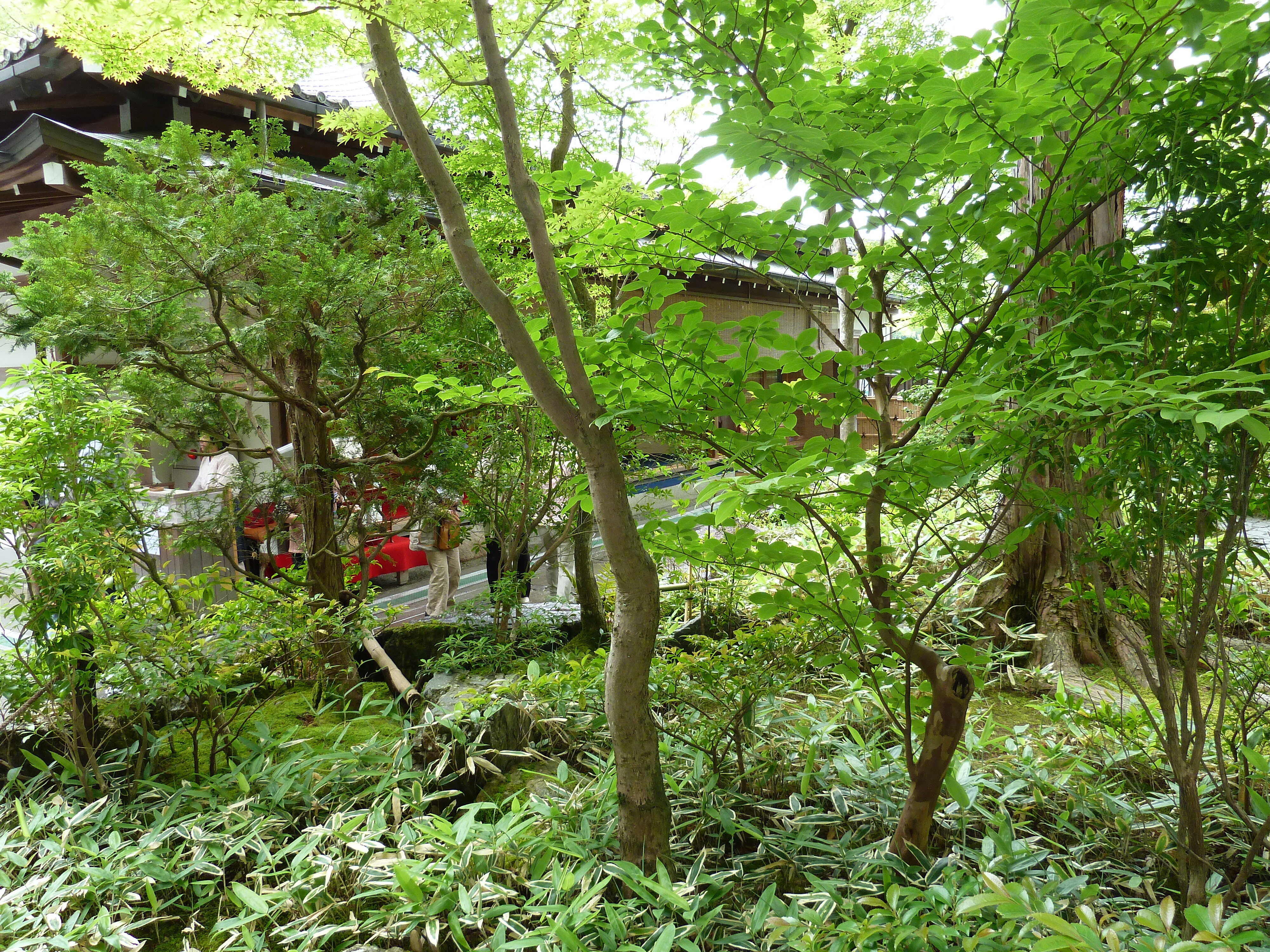 Picture Japan Kyoto Kinkakuji Temple(Golden Pavilion) 2010-06 34 - Tour Kinkakuji Temple(Golden Pavilion)