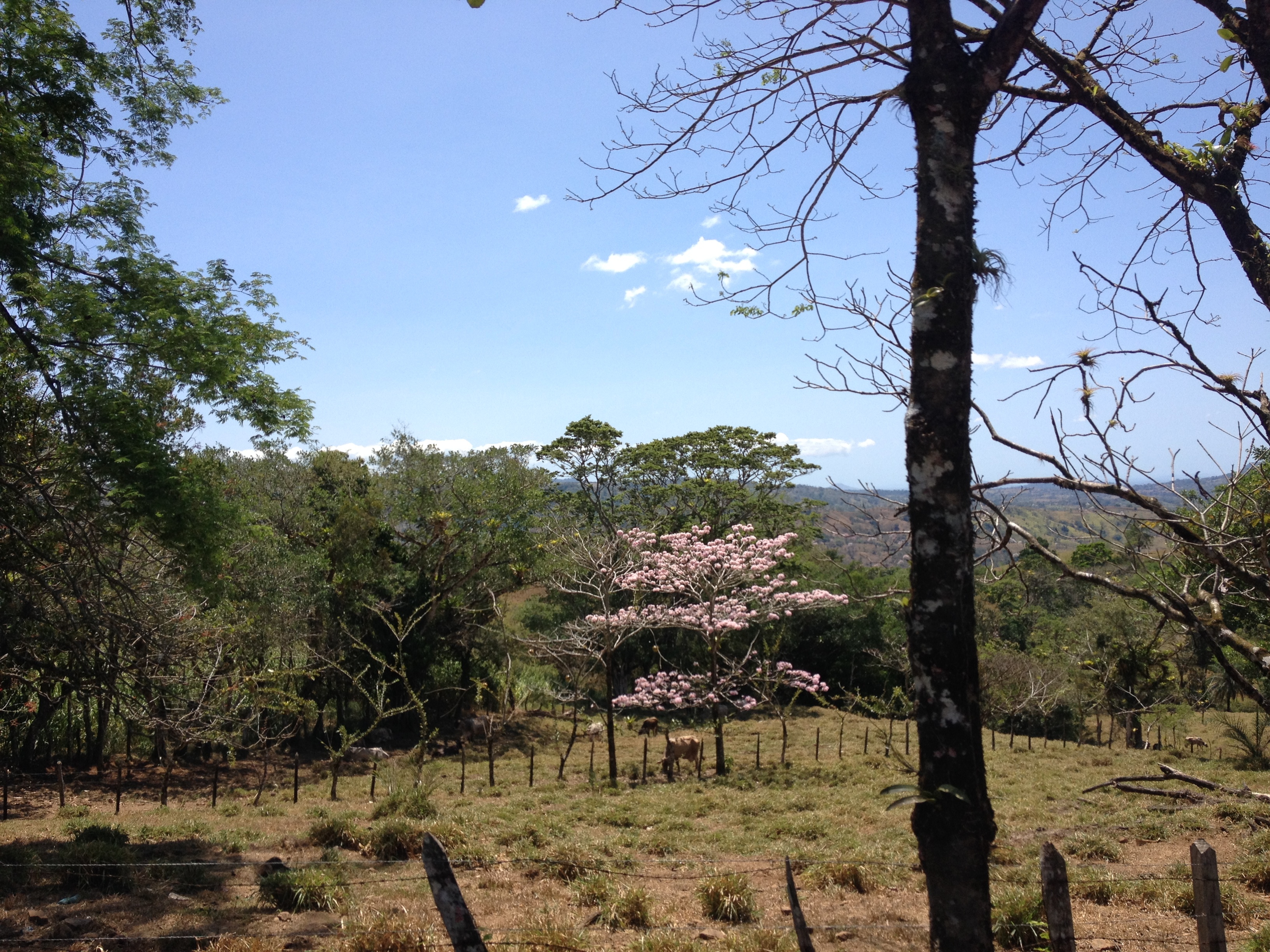 Picture Panama David to Bocas del toro 2015-03 121 - History David to Bocas del toro