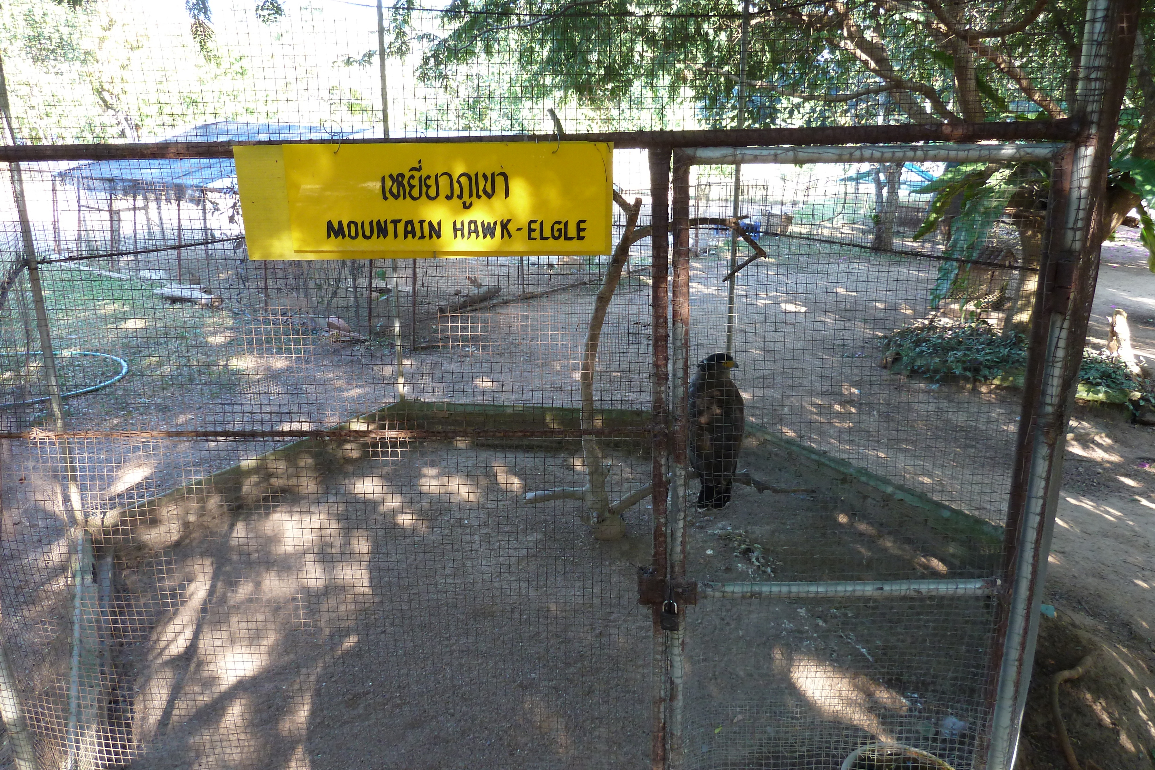 Picture Thailand Chiang Mai Mae Sa Snake Farm 2010-12 68 - Discovery Mae Sa Snake Farm