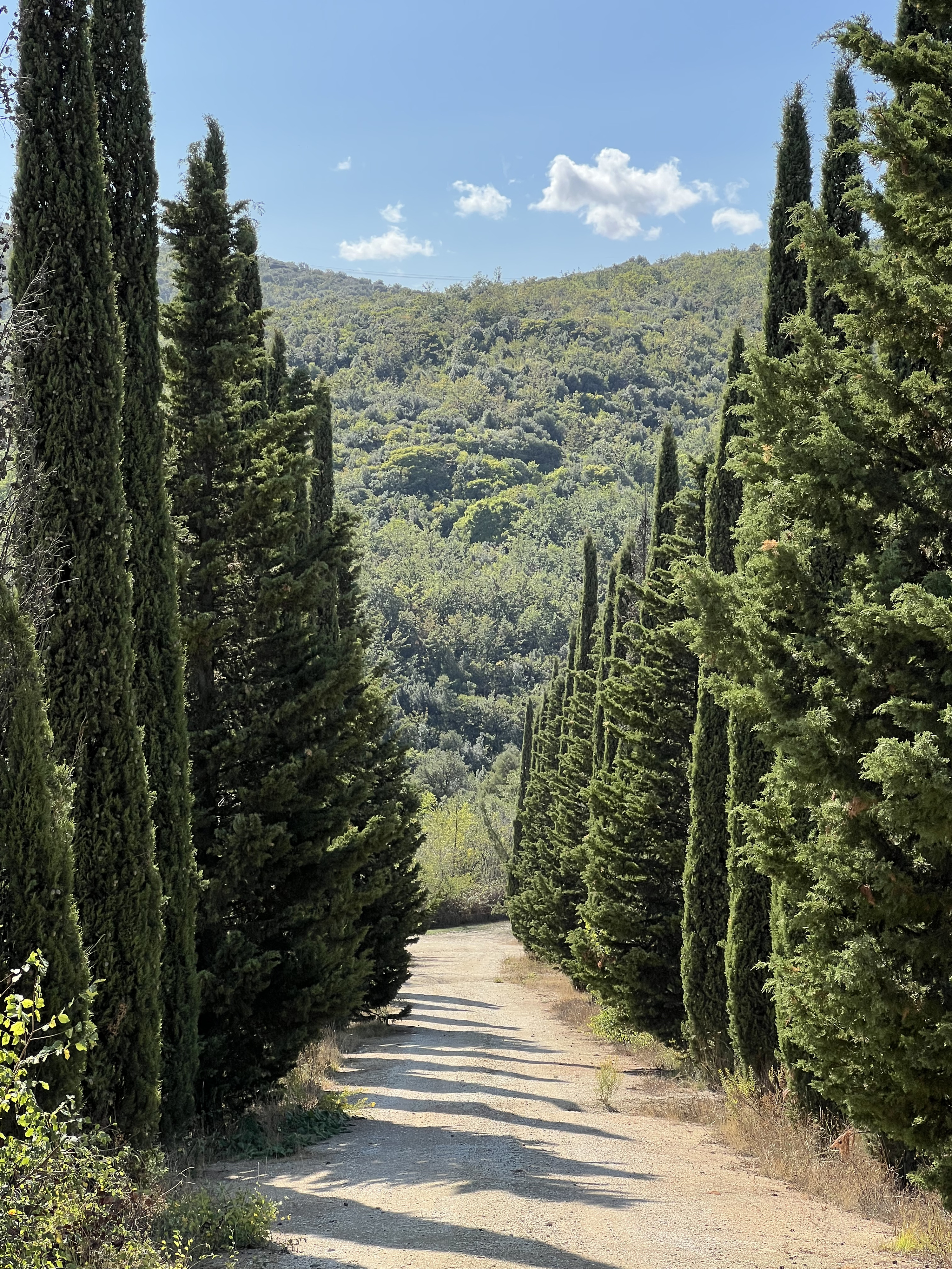 Picture Italy Tuscany 2021-09 19 - Tours Tuscany