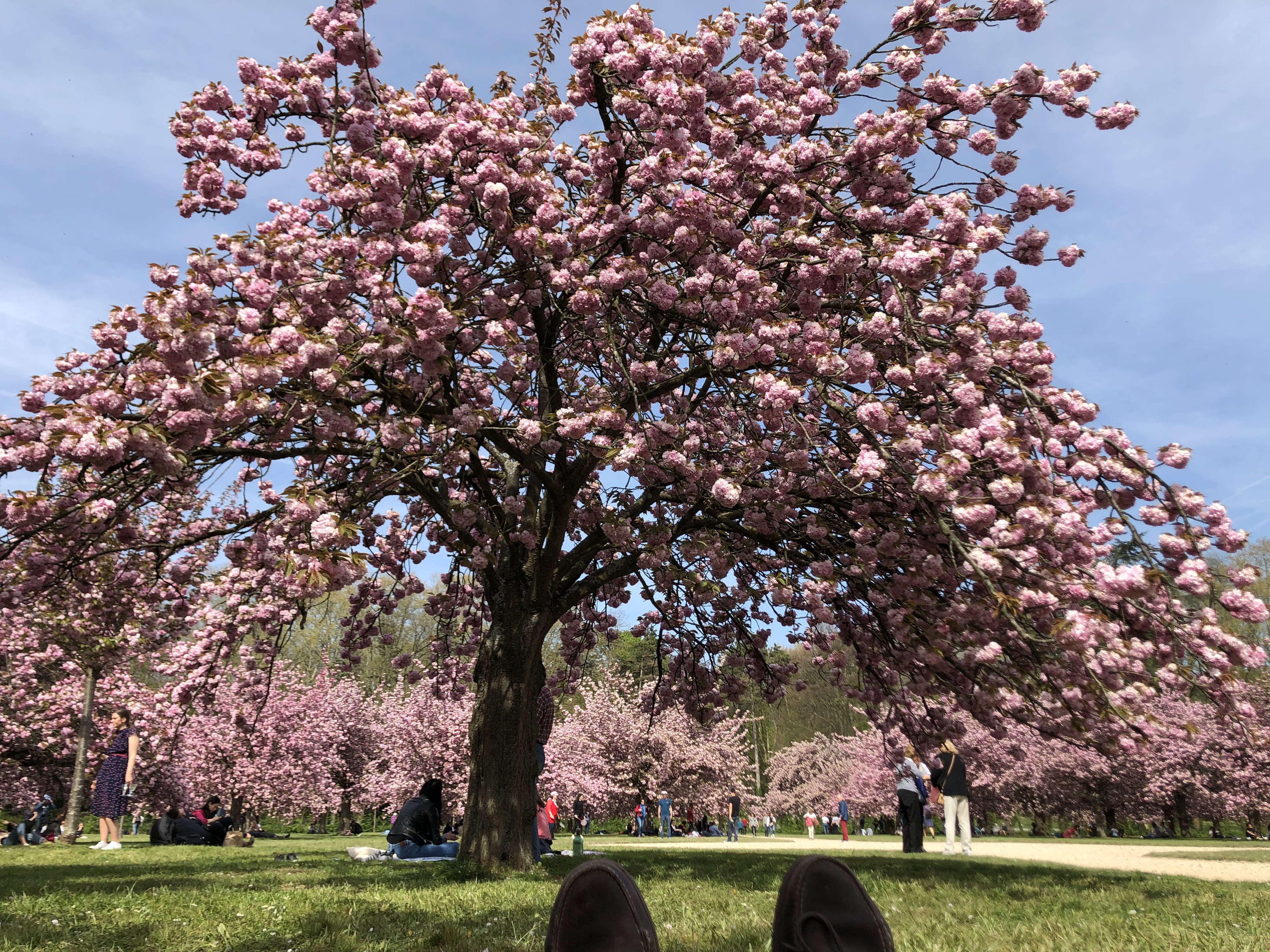 Picture France Parc de Sceaux 2019-04 87 - History Parc de Sceaux