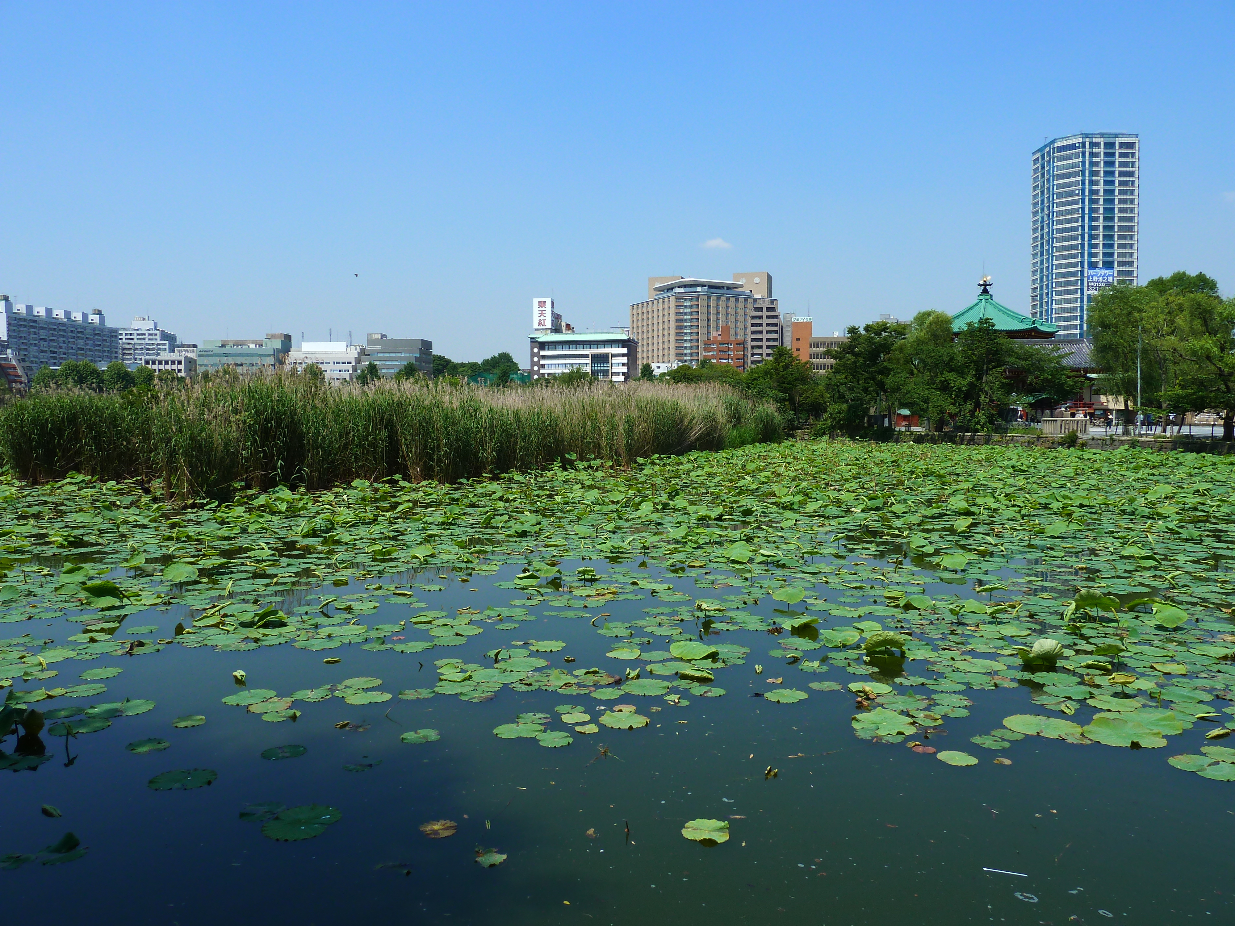 Picture Japan Tokyo Ueno 2010-06 62 - History Ueno