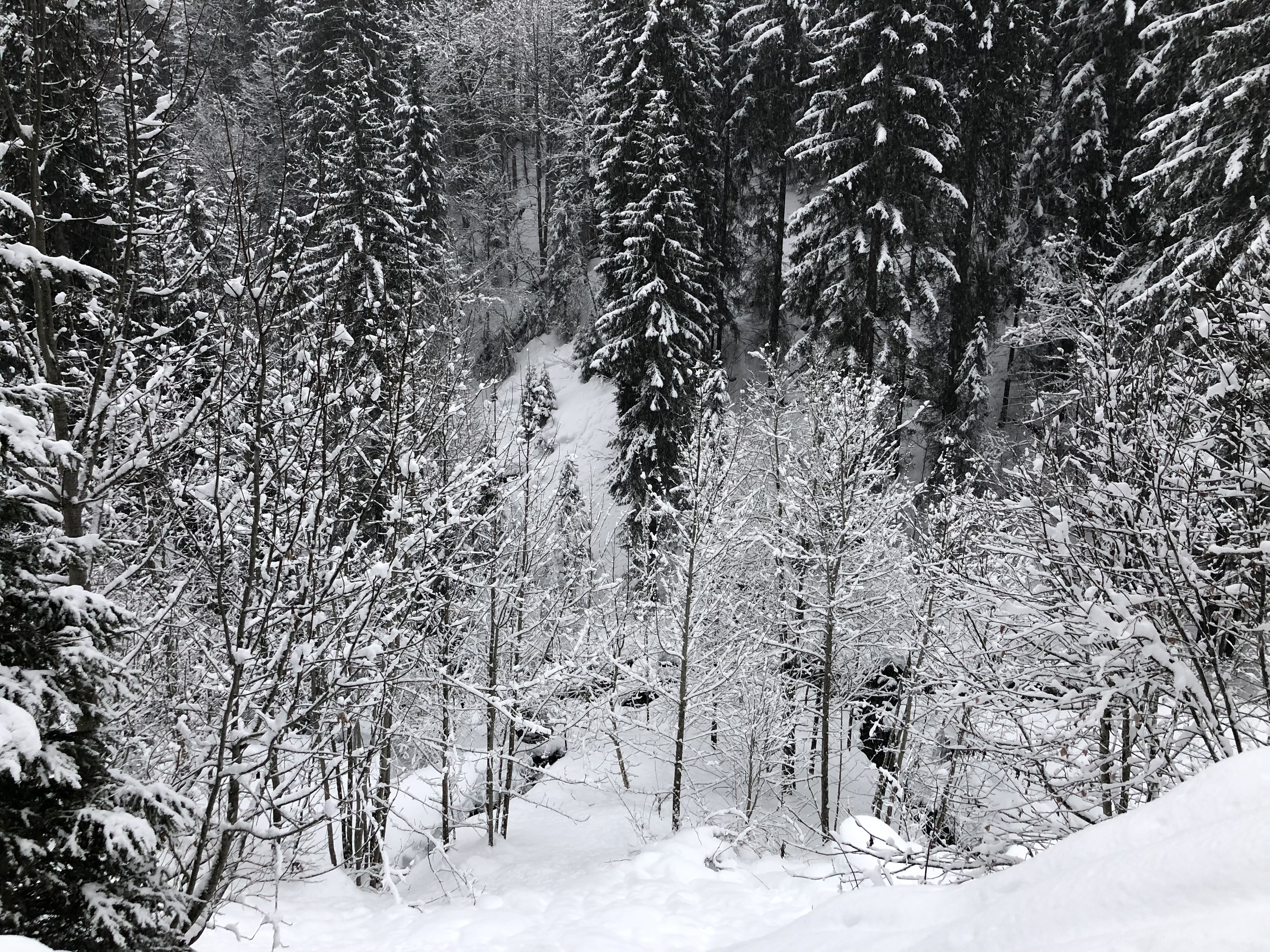 Picture France La Clusaz 2017-12 74 - Recreation La Clusaz