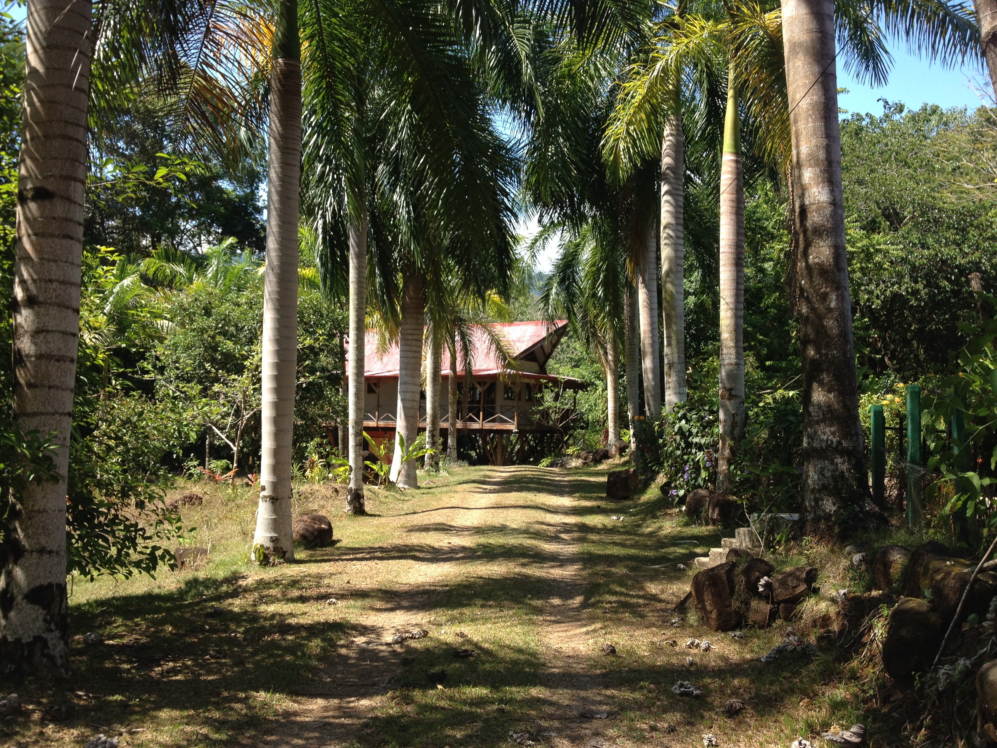 Picture Costa Rica Uvita 2015-03 31 - History Uvita