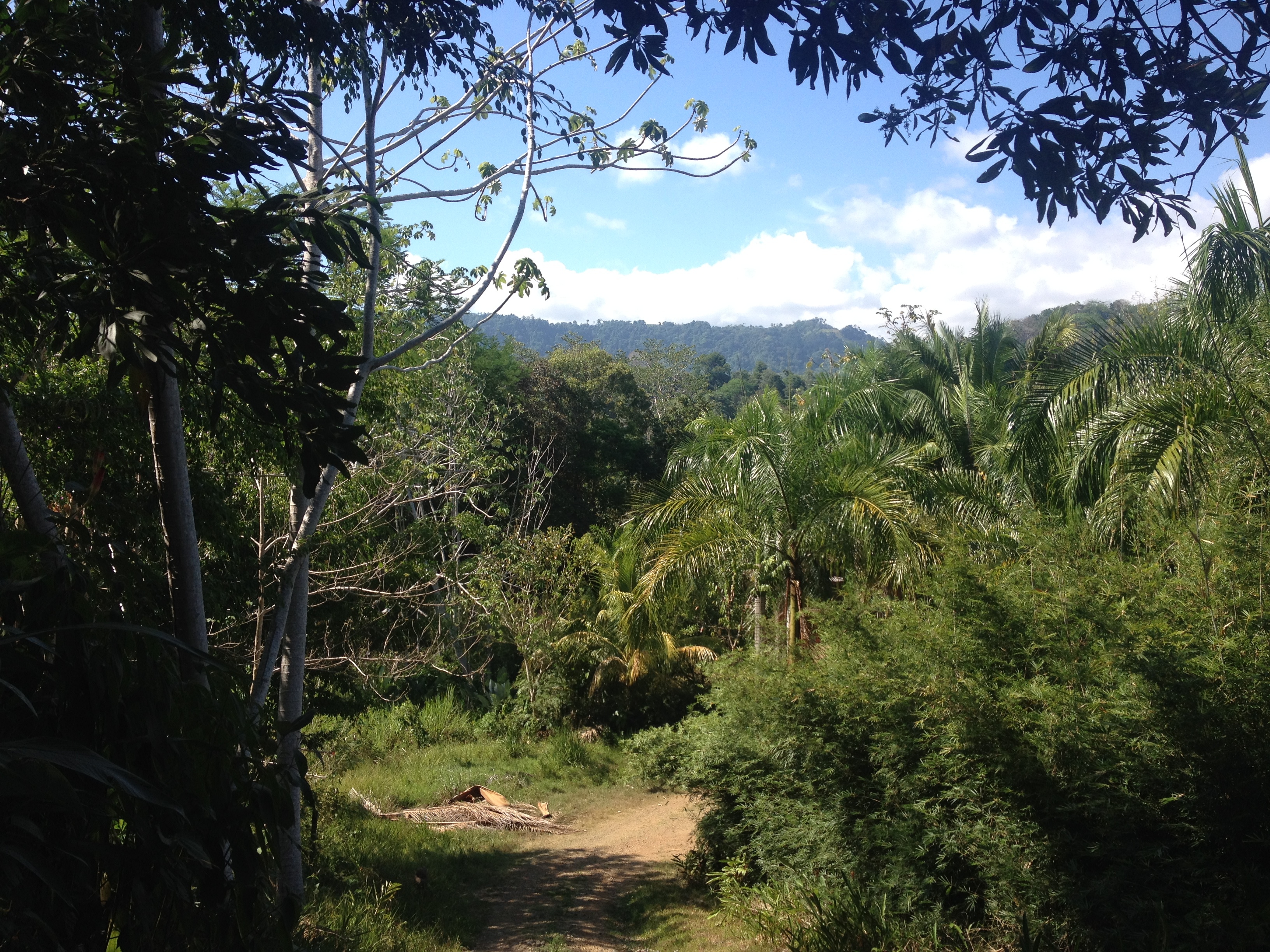 Picture Costa Rica Uvita 2015-03 22 - Journey Uvita