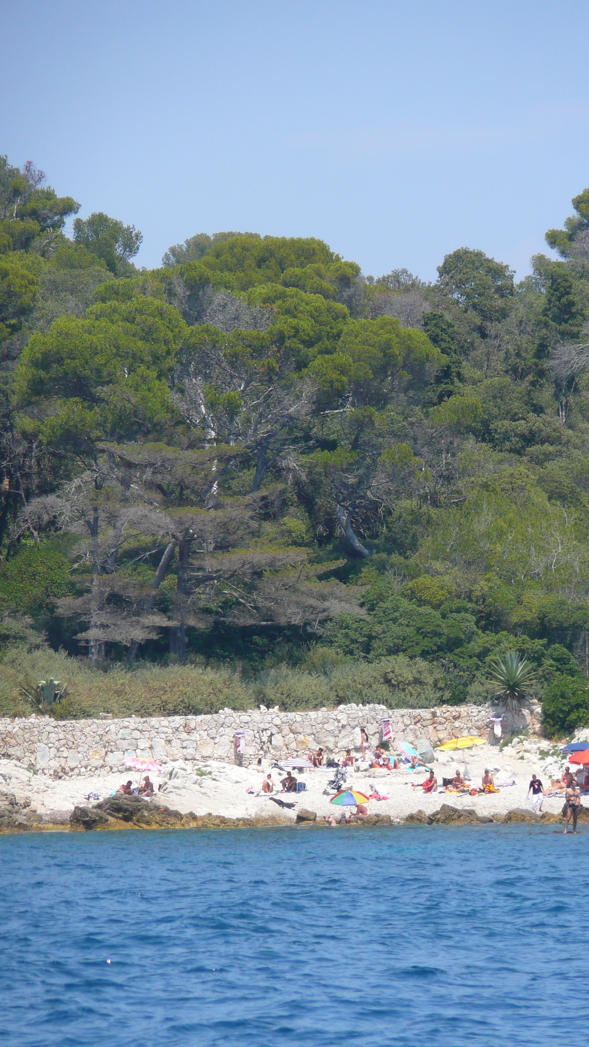 Picture France Cap d'Antibes Anse de la garoupe 2007-07 27 - Around Anse de la garoupe