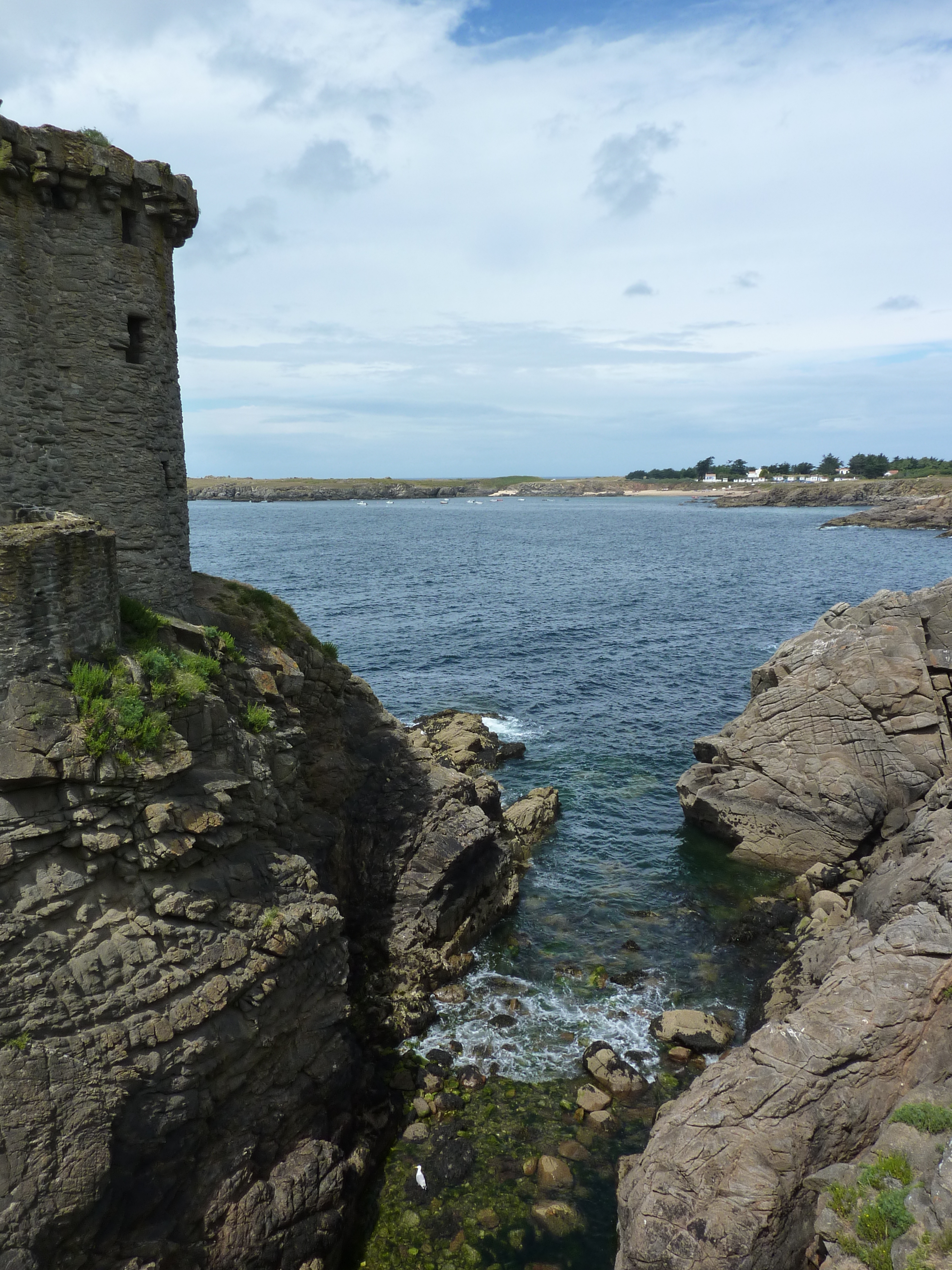 Picture France Ile d'yeu 2009-07 70 - Around Ile d'yeu