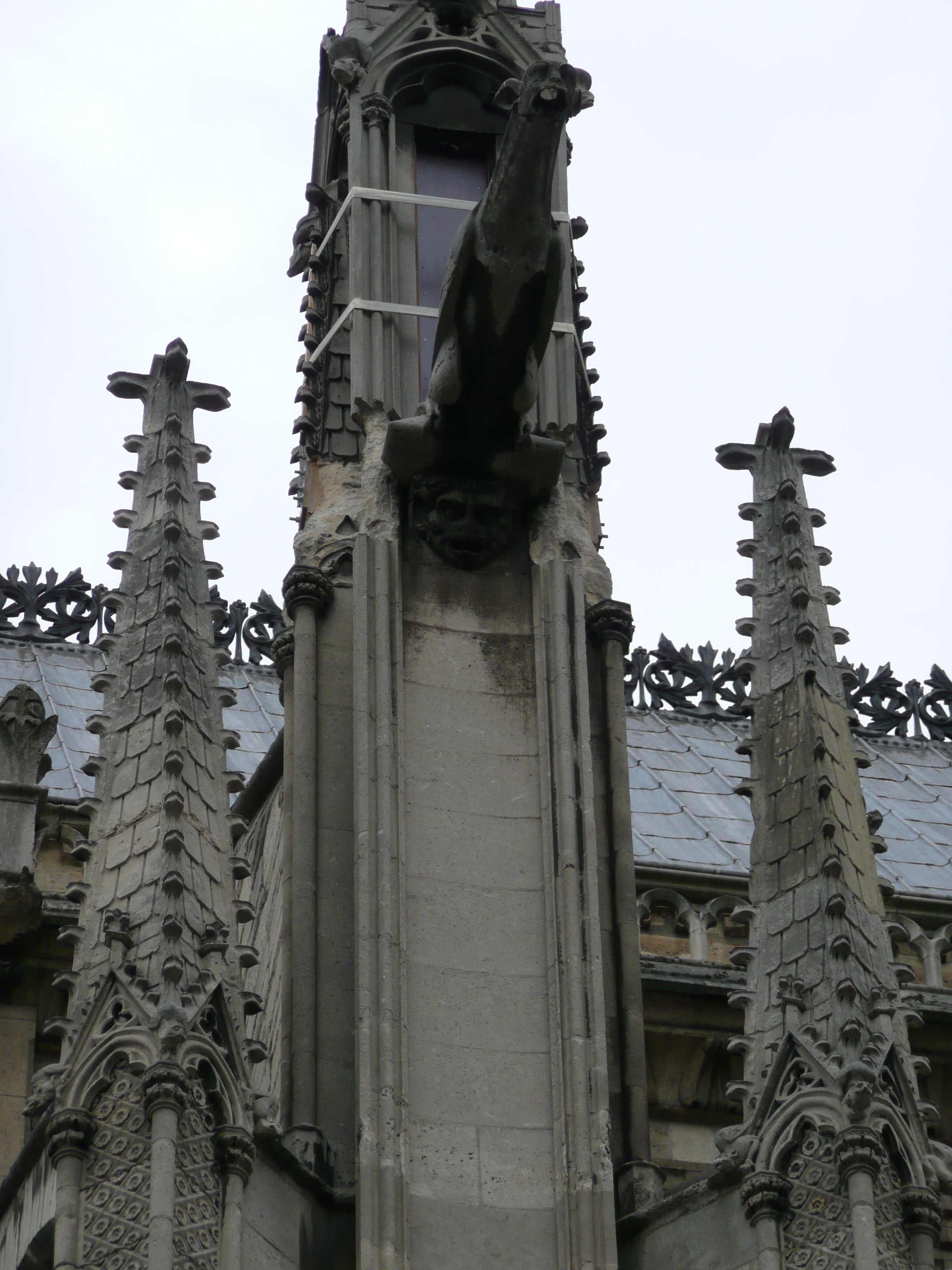 Picture France Paris Notre Dame 2007-05 106 - Tour Notre Dame