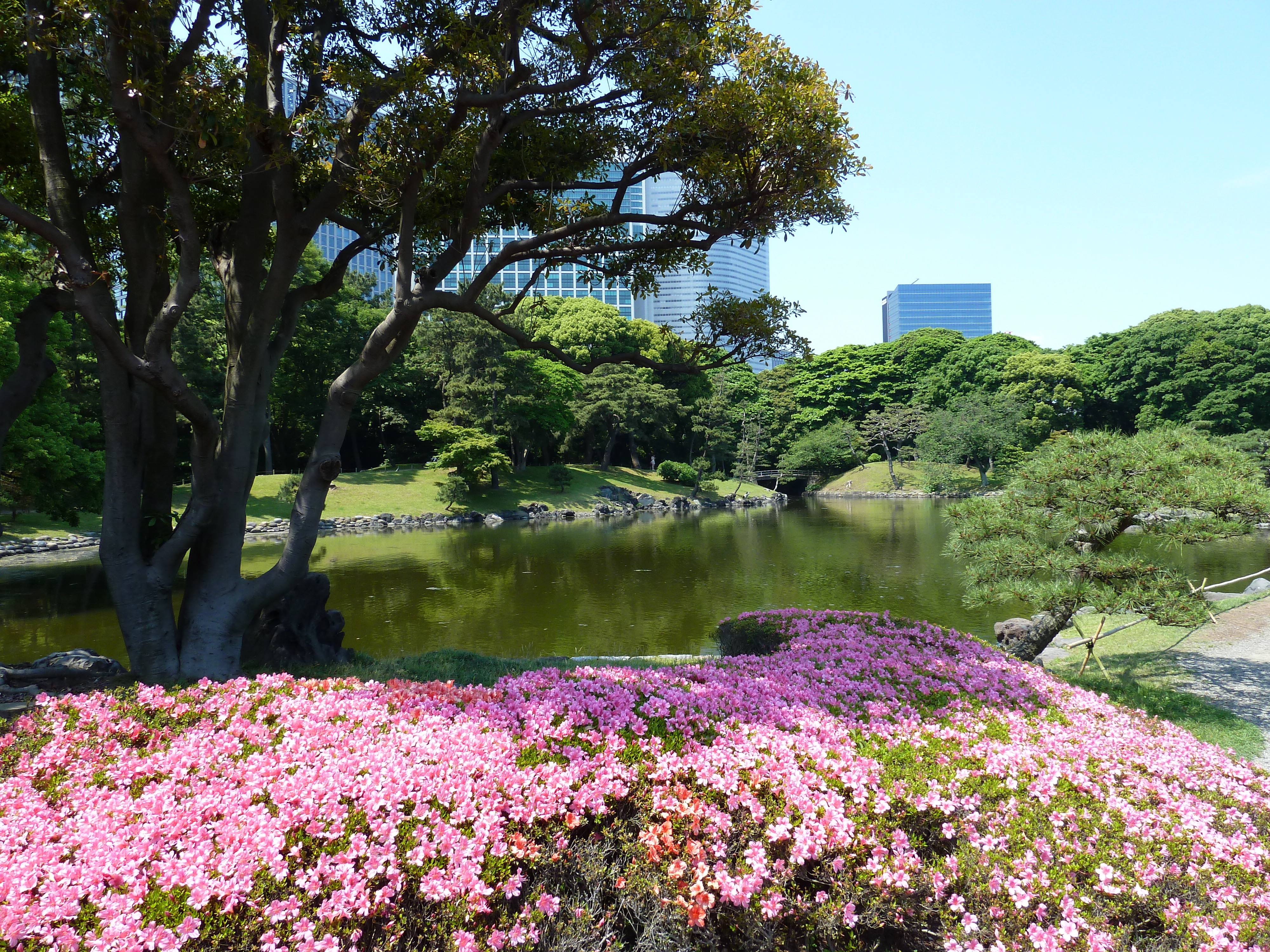 Picture Japan Tokyo Hama rikyu Gardens 2010-06 82 - Center Hama rikyu Gardens