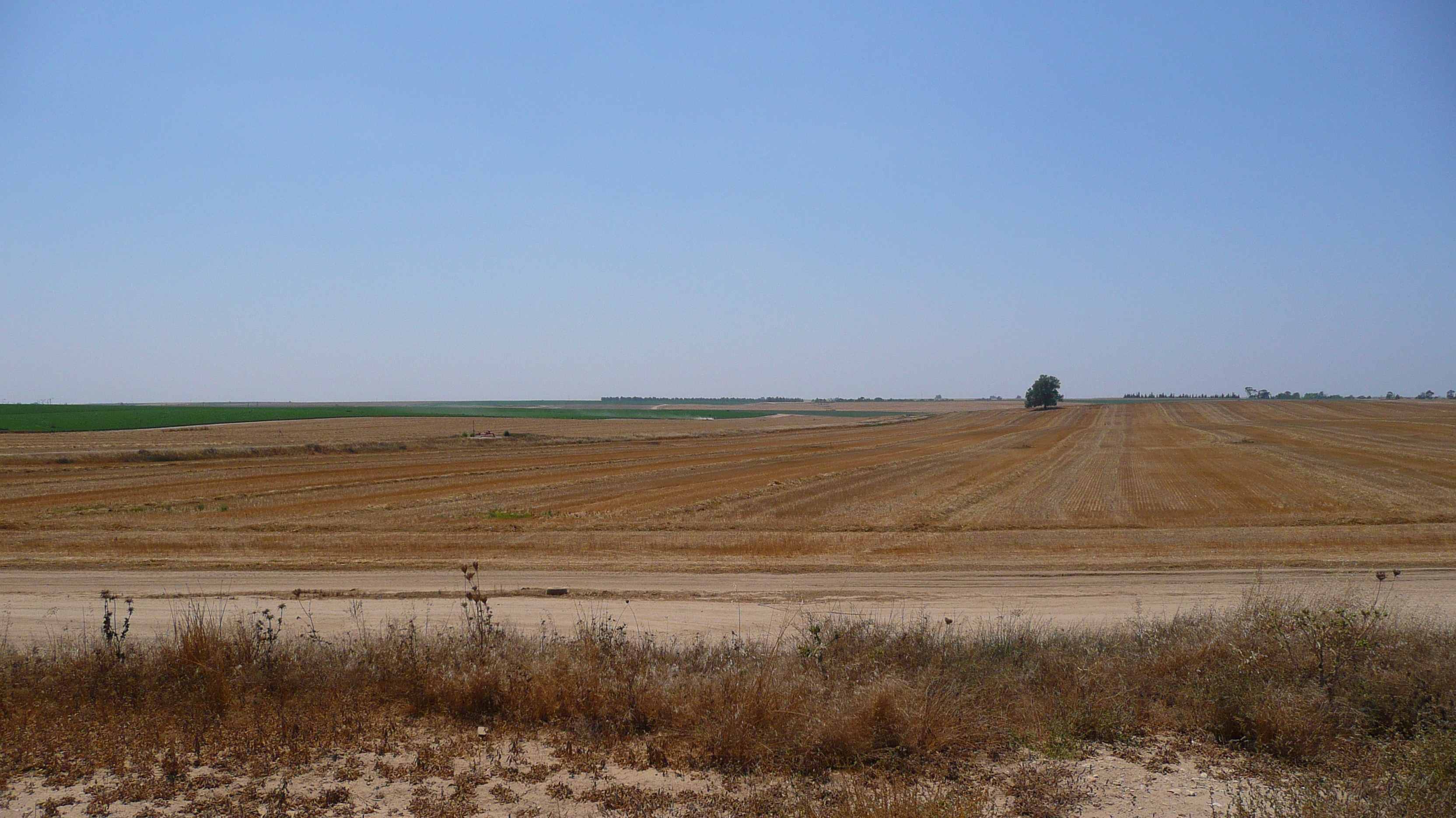 Picture Israel Ashkelon to Arad road 2007-06 20 - Discovery Ashkelon to Arad road