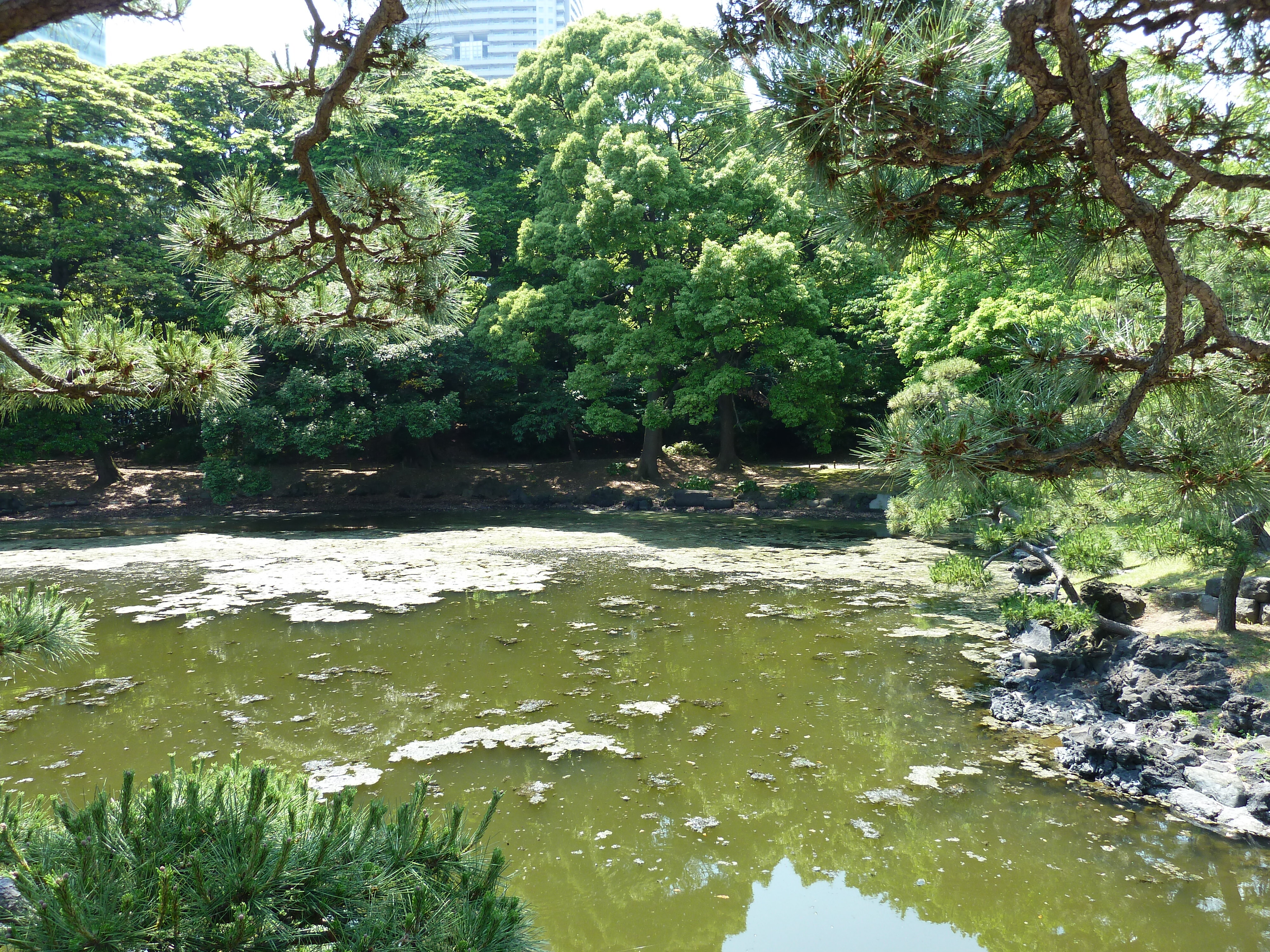 Picture Japan Tokyo Hama rikyu Gardens 2010-06 83 - Discovery Hama rikyu Gardens