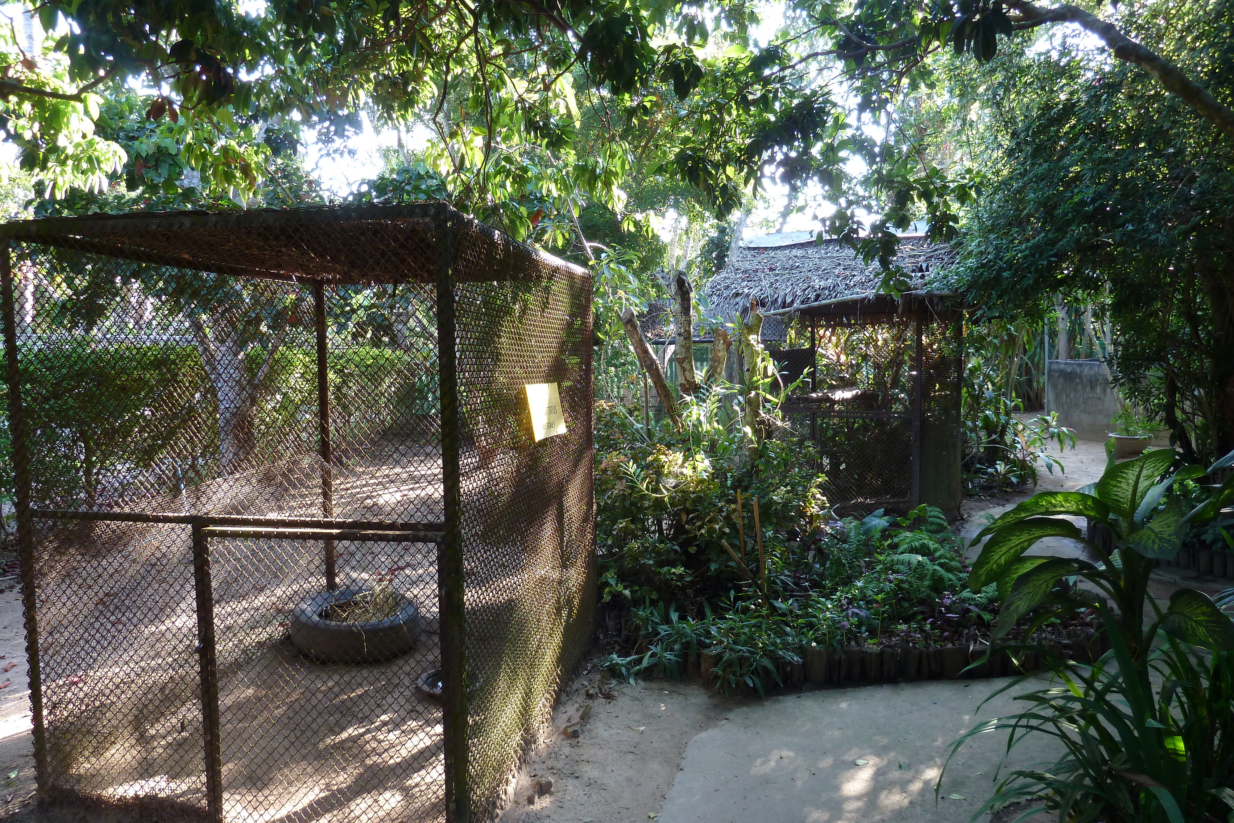 Picture Thailand Chiang Mai Mae Sa Snake Farm 2010-12 54 - History Mae Sa Snake Farm