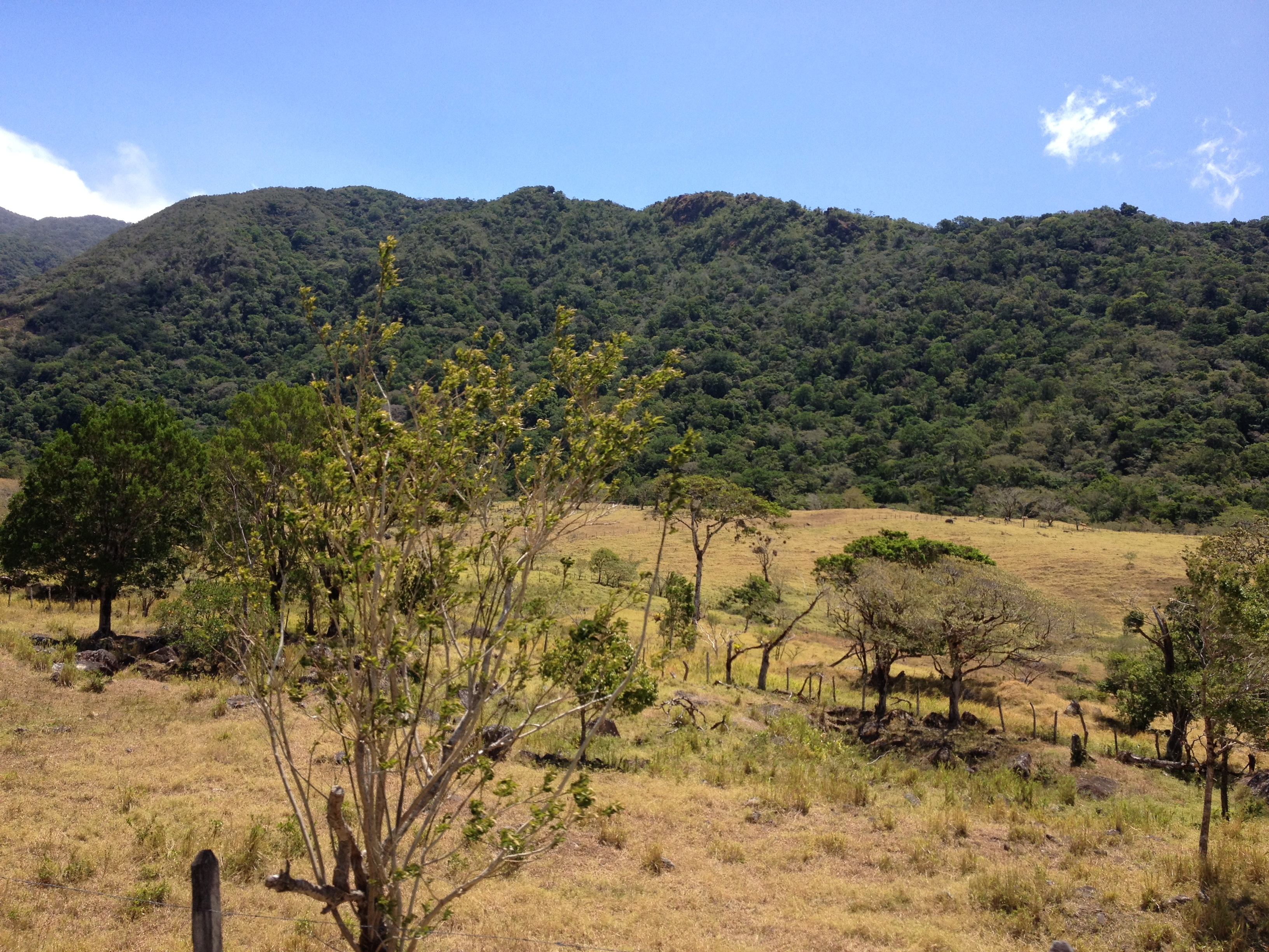 Picture Panama David to Bocas del toro 2015-03 12 - History David to Bocas del toro