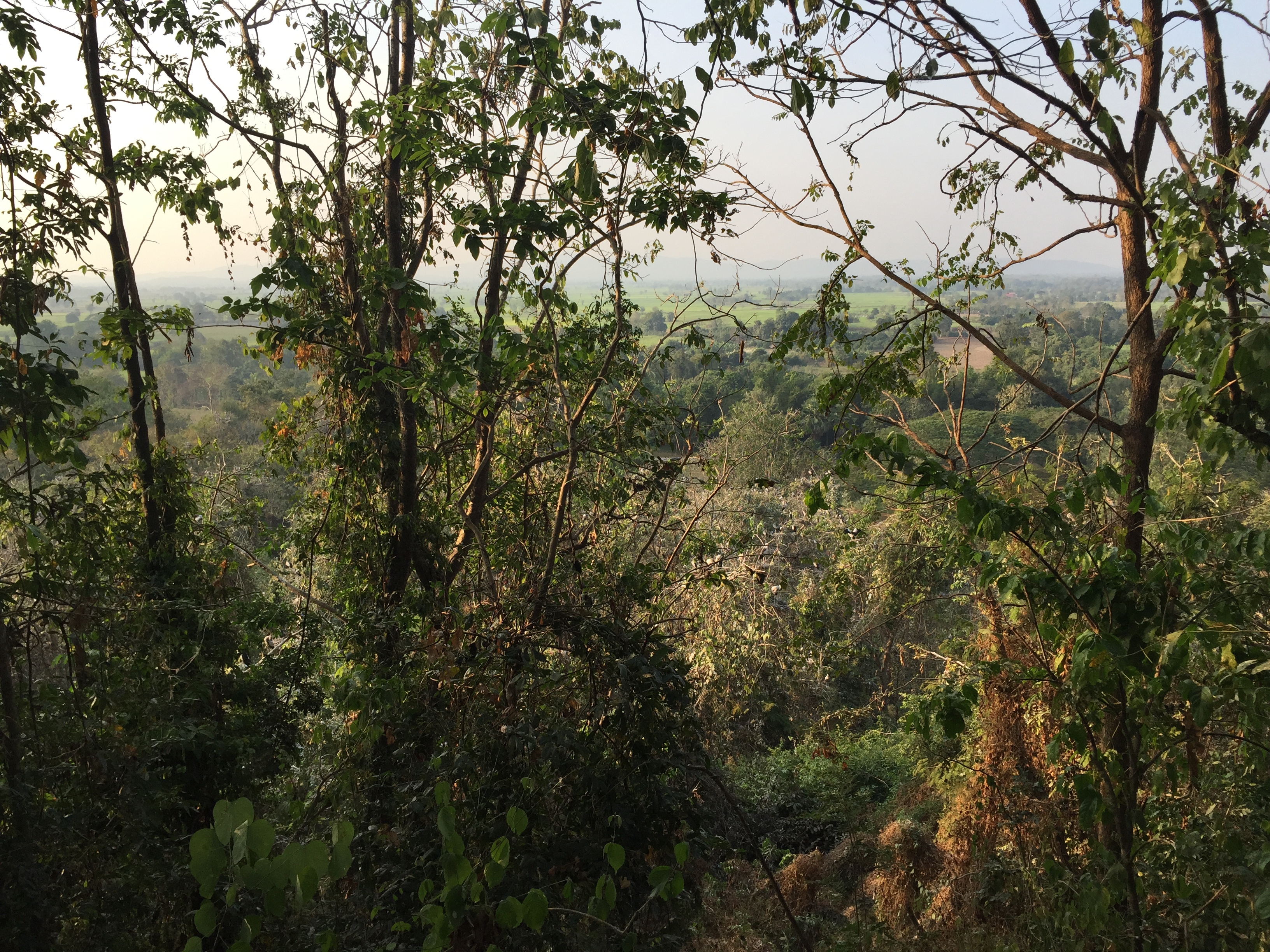 Picture Thailand Si satchanalai historical park 2014-12 157 - Tour Si satchanalai historical park