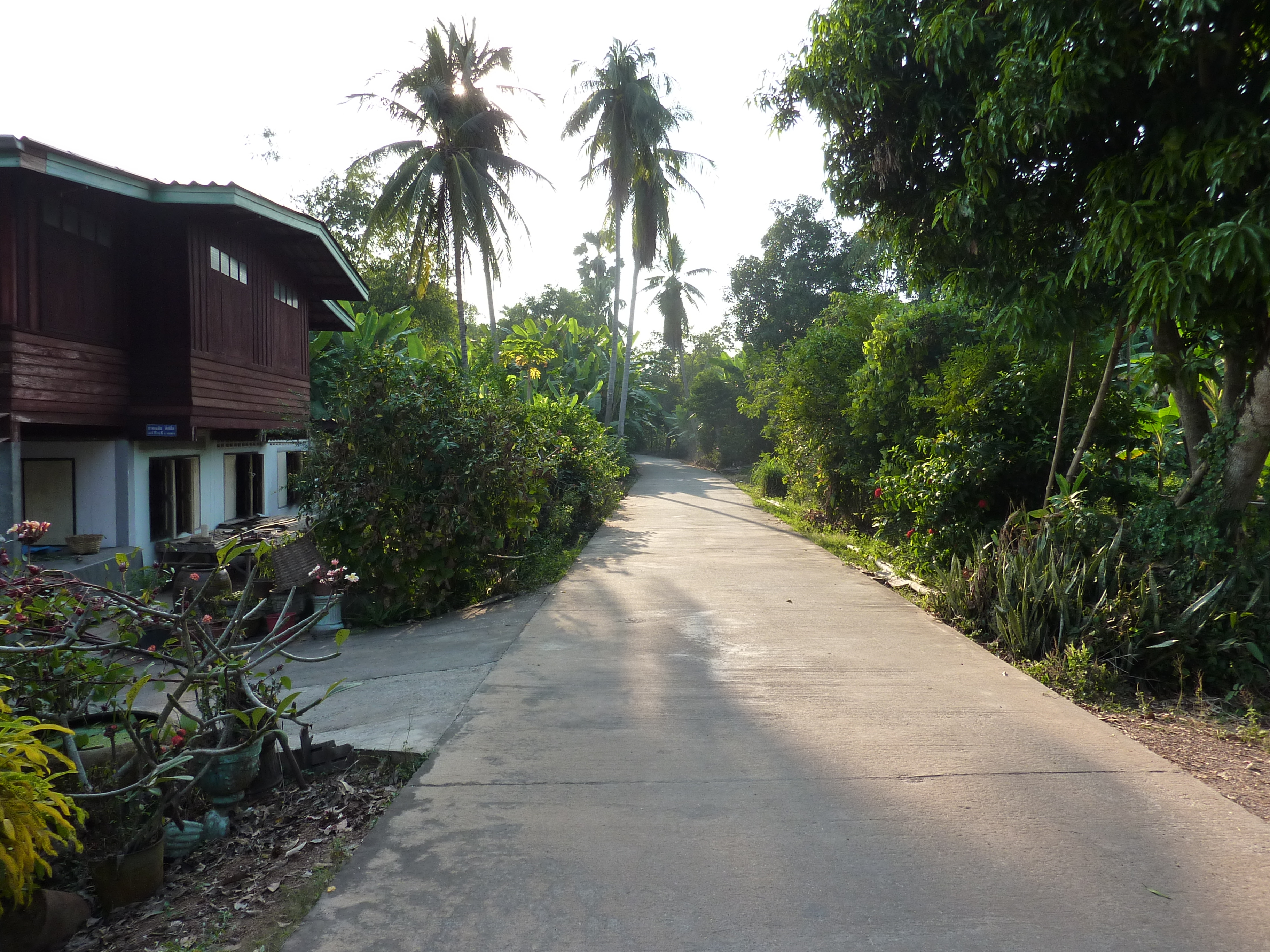 Picture Thailand Phitsanulok Chom Thong 2009-12 21 - Around Chom Thong