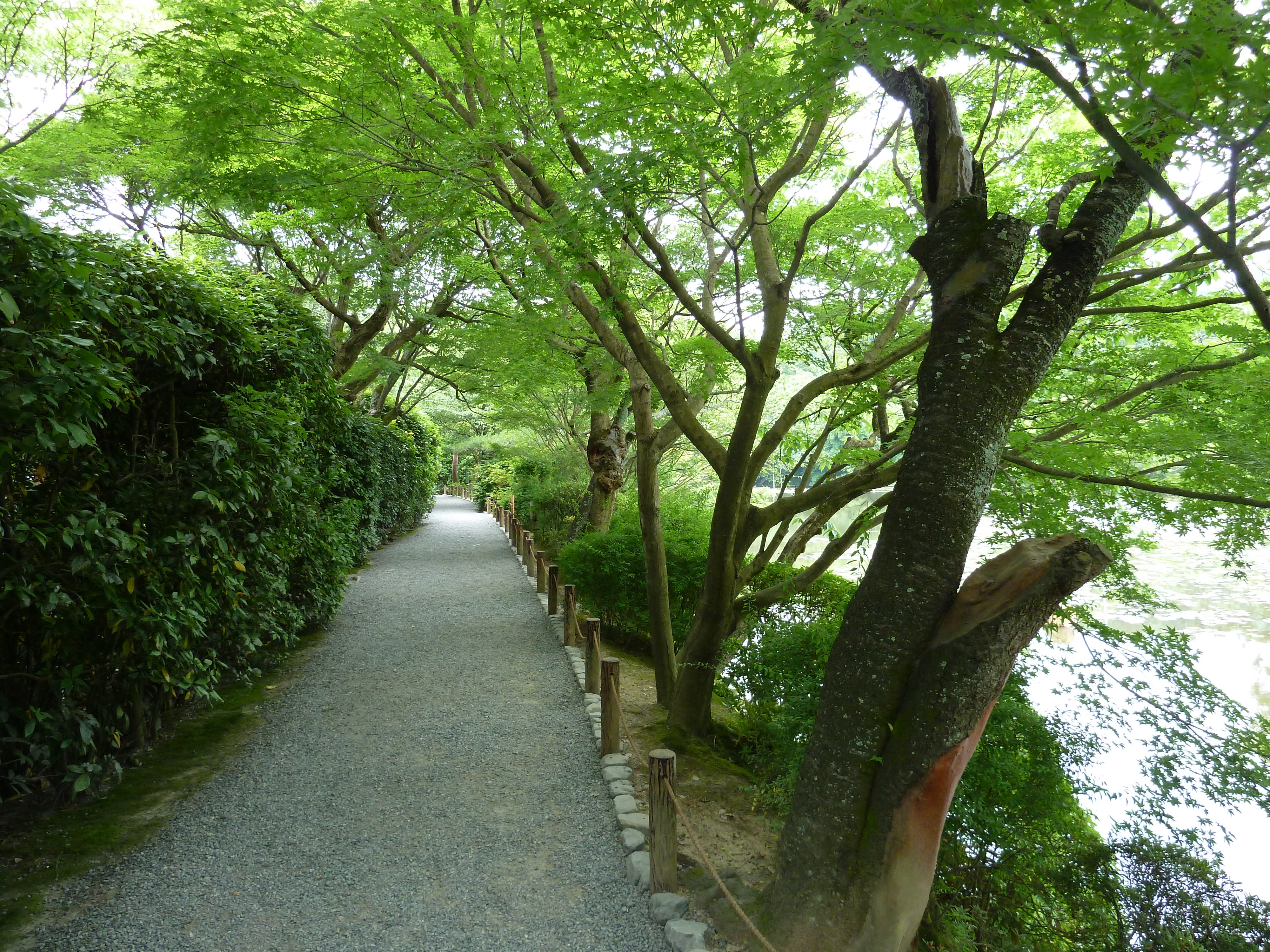 Picture Japan Kyoto Ryoanji Temple 2010-06 49 - Tour Ryoanji Temple