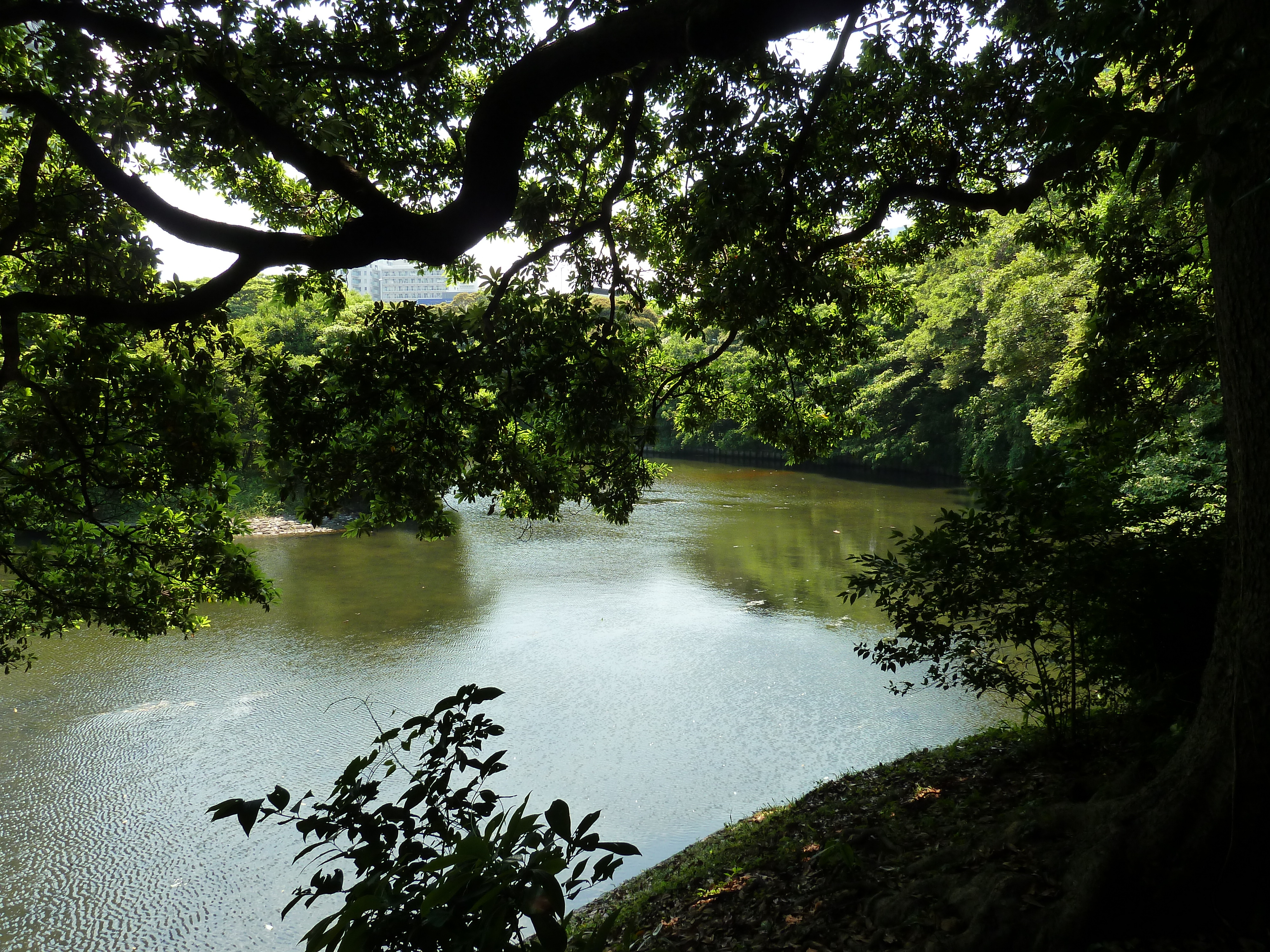 Picture Japan Tokyo Hama rikyu Gardens 2010-06 71 - Recreation Hama rikyu Gardens