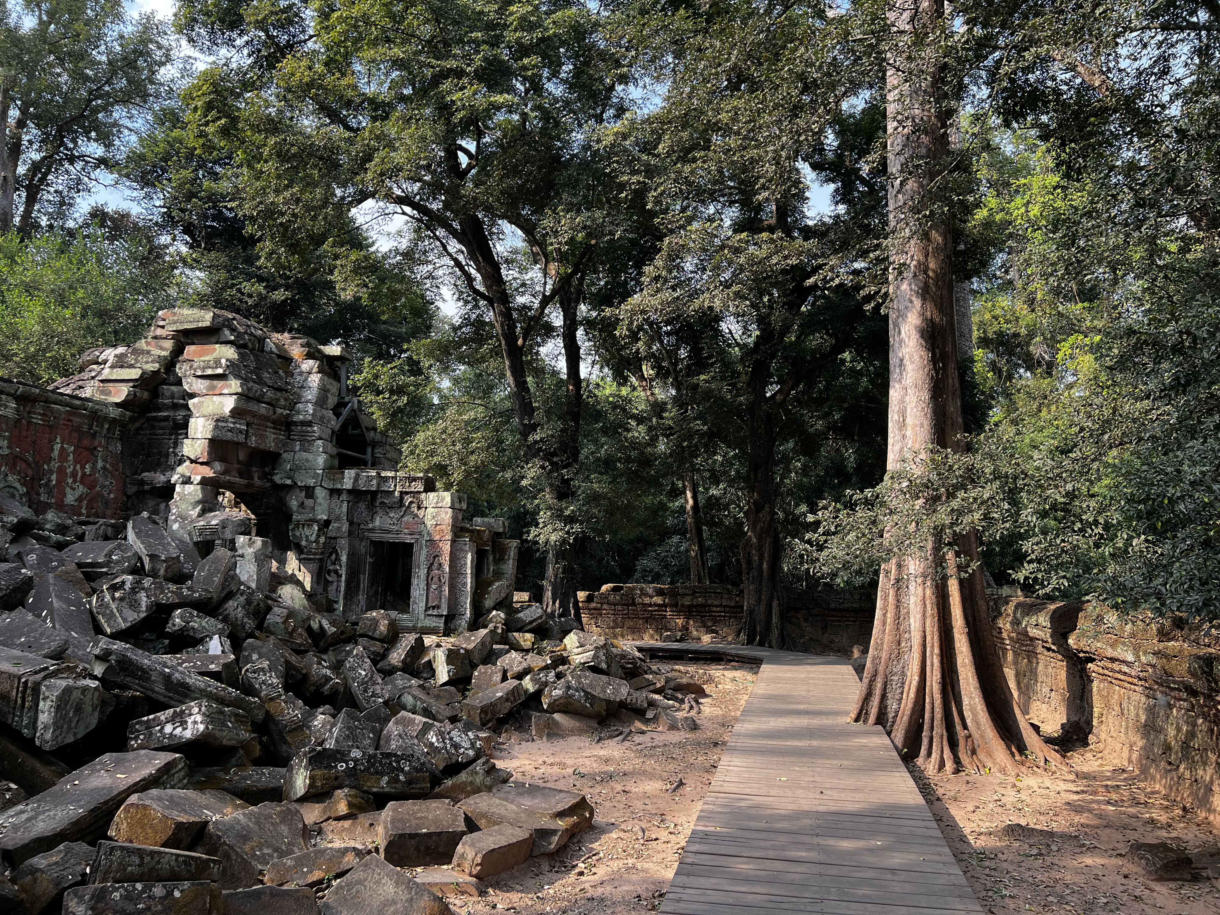 Picture Cambodia Siem Reap Ta Prohm 2023-01 35 - Center Ta Prohm