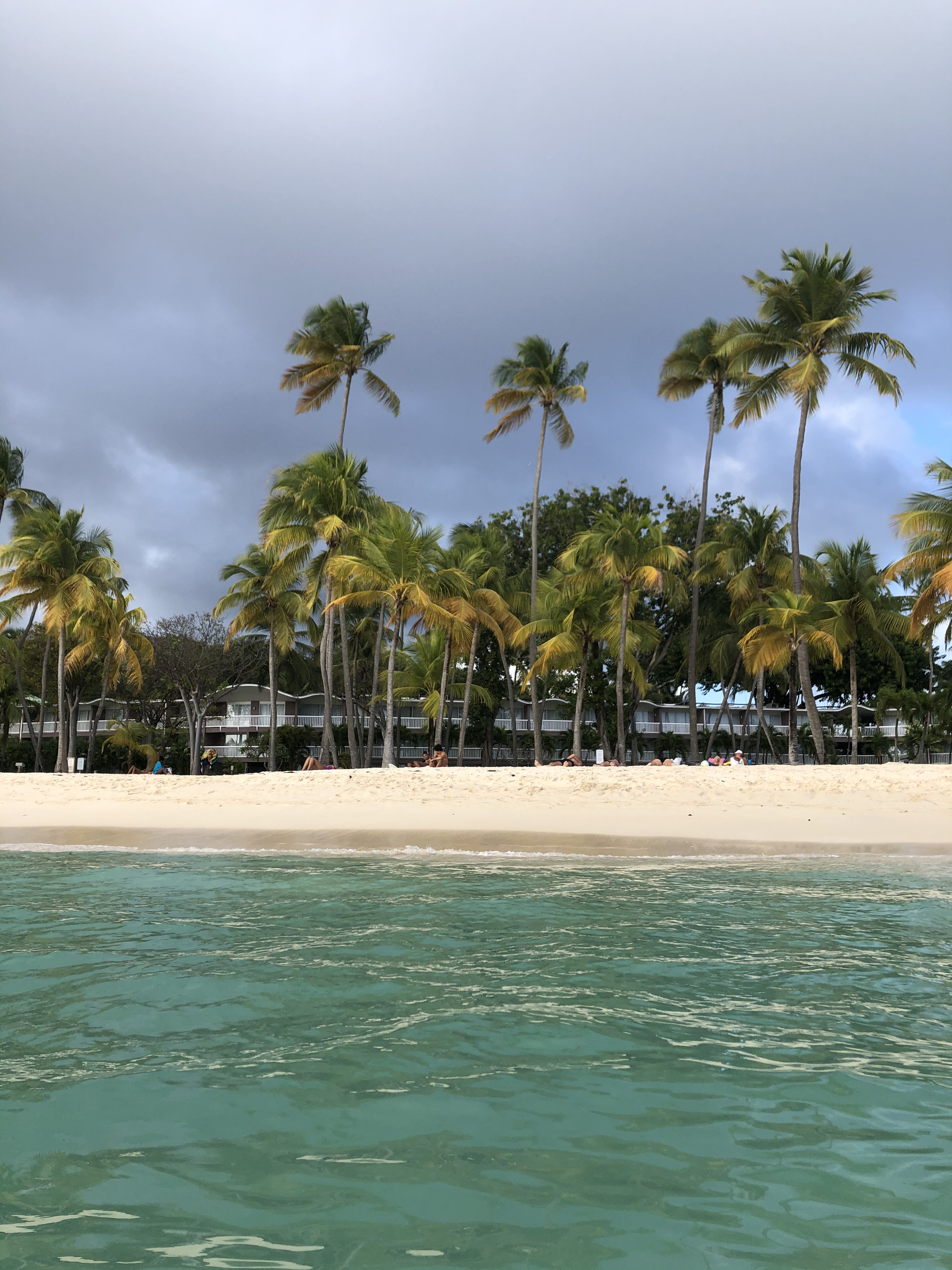 Picture Guadeloupe La Caravelle Beach 2021-02 56 - Around La Caravelle Beach