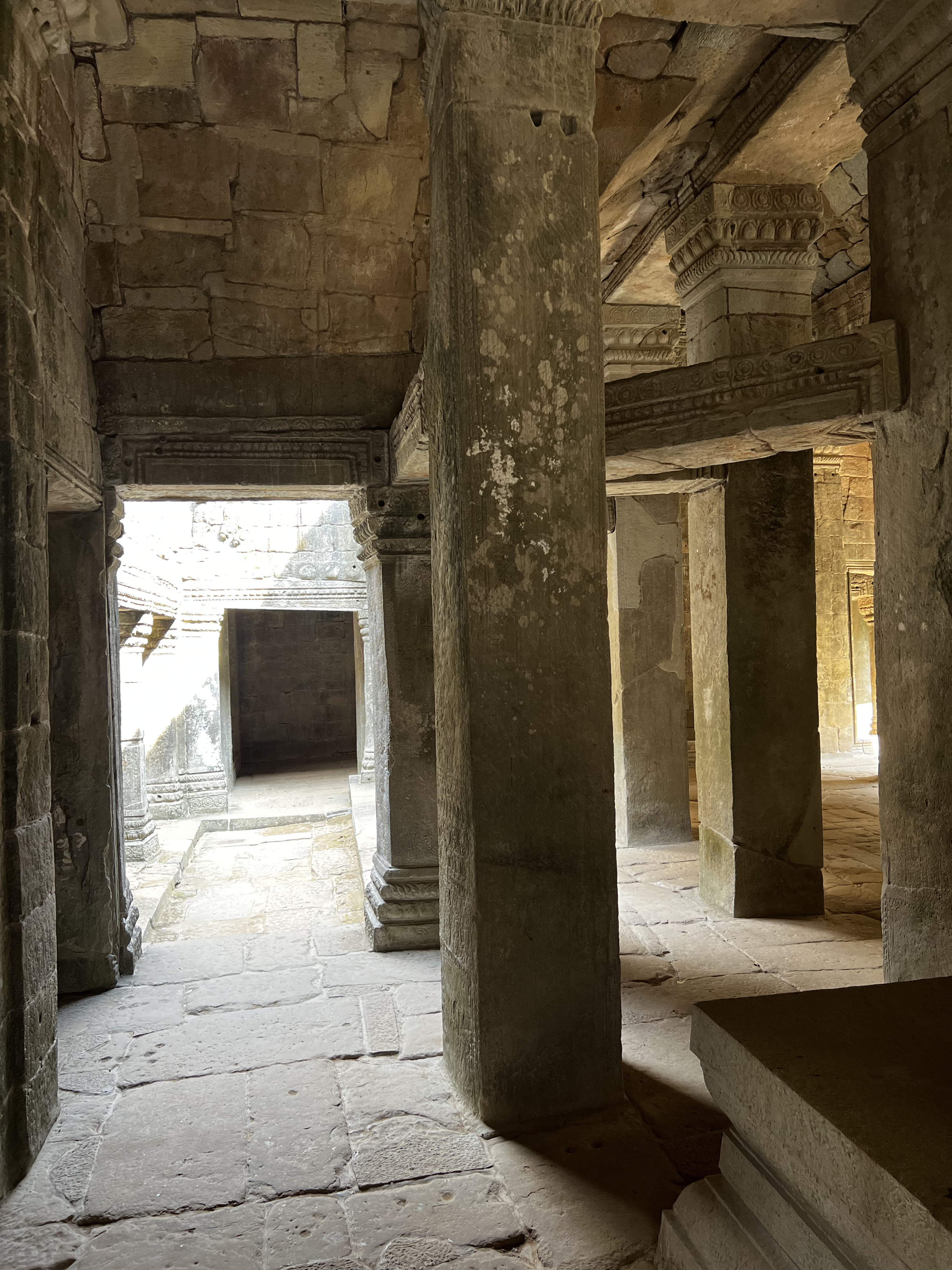 Picture Cambodia Siem Reap Ta Prohm 2023-01 79 - Recreation Ta Prohm