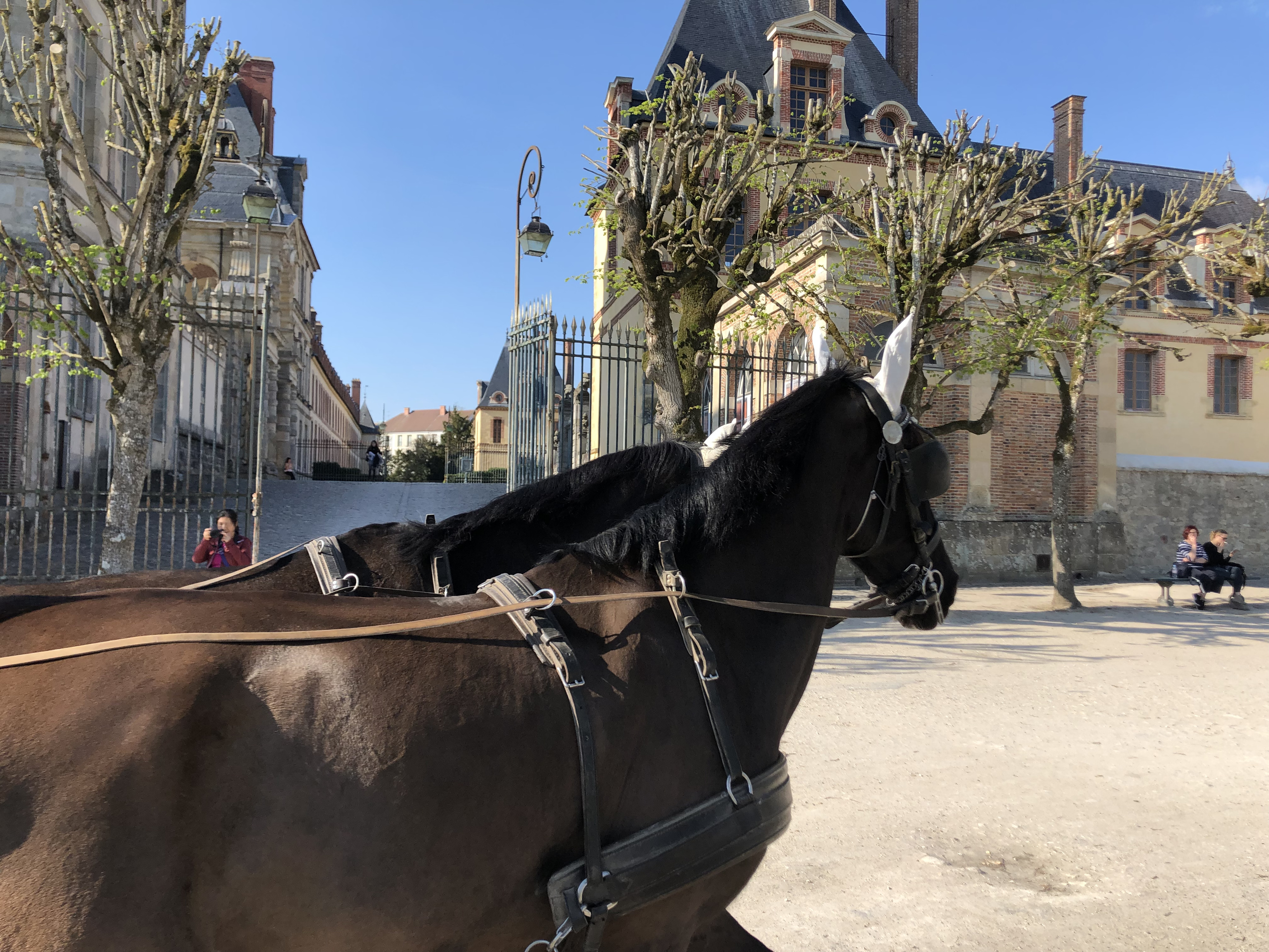 Picture France Fontainebleau 2019-04 249 - Journey Fontainebleau