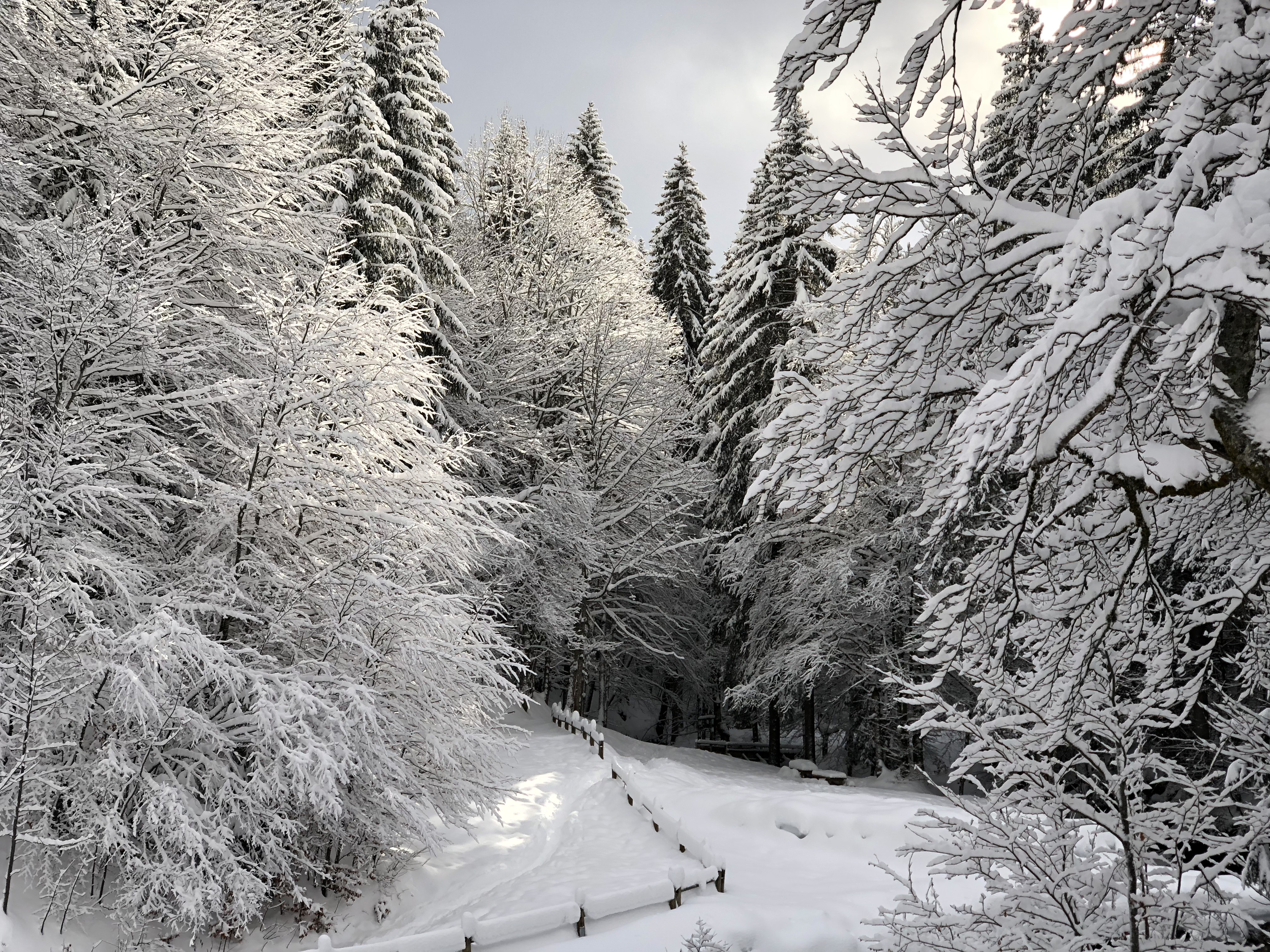 Picture France La Clusaz 2017-12 243 - Tour La Clusaz