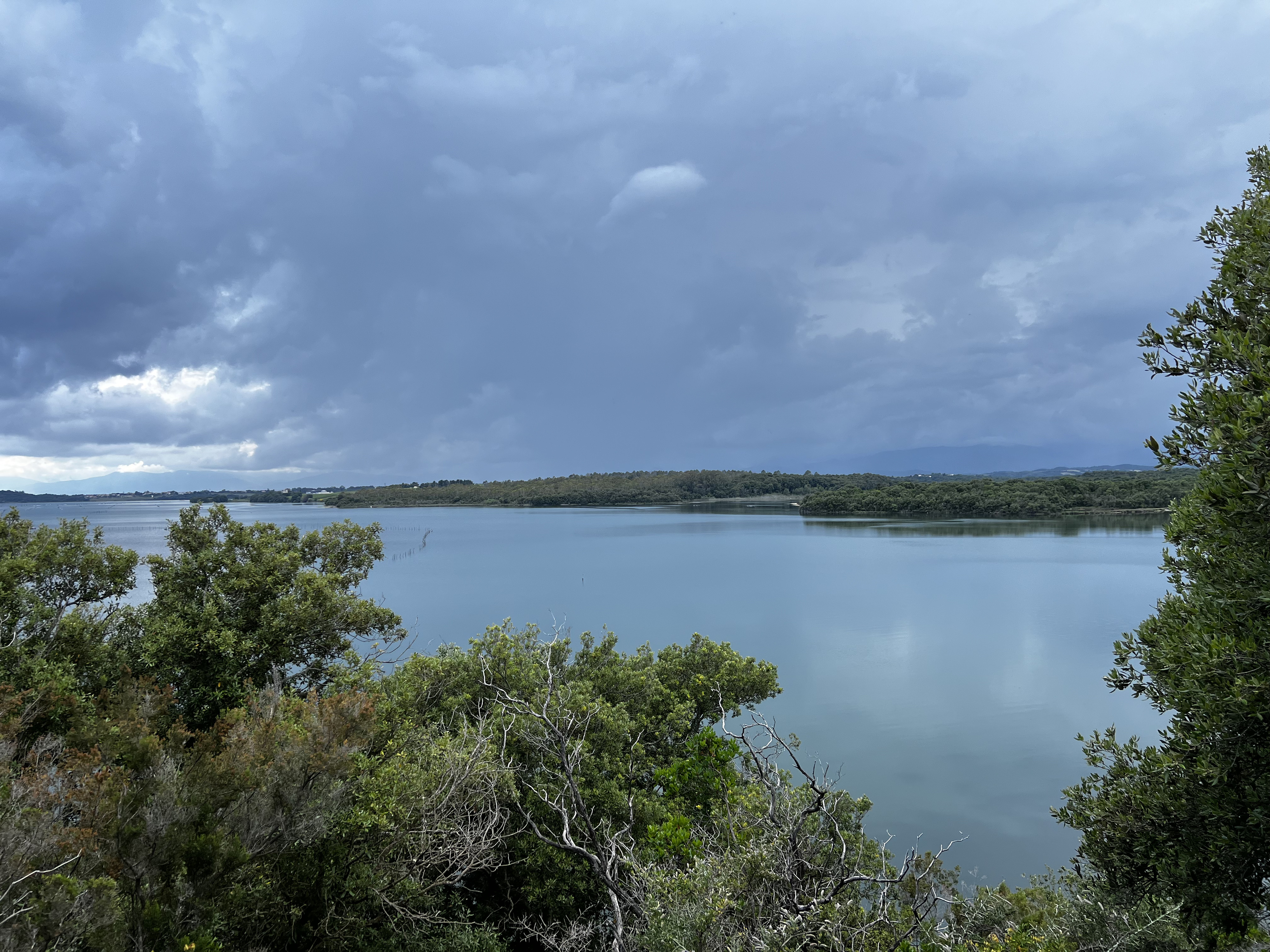 Picture France Corsica Etang de Diane 2023-06 0 - Discovery Etang de Diane