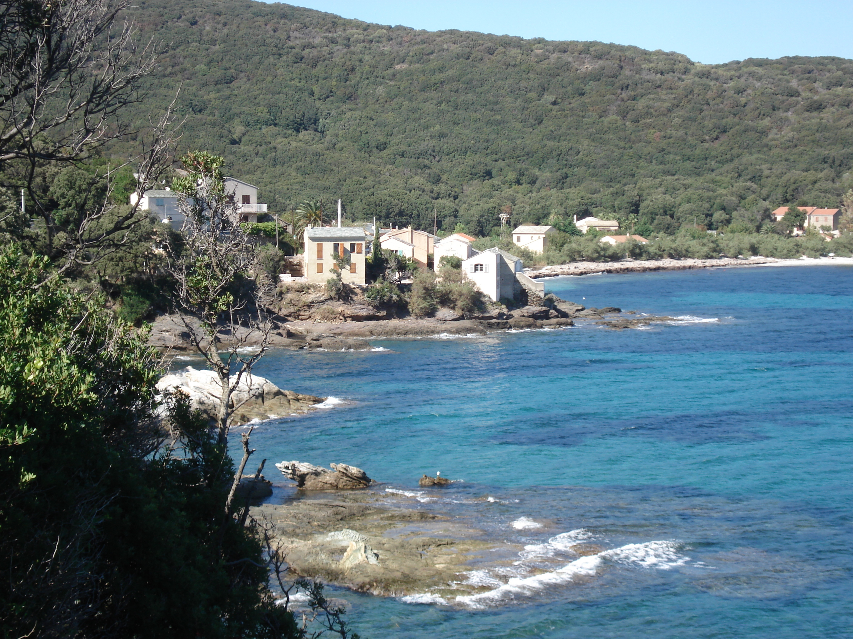 Picture France Corsica Corsican Cape 2006-09 13 - Tours Corsican Cape