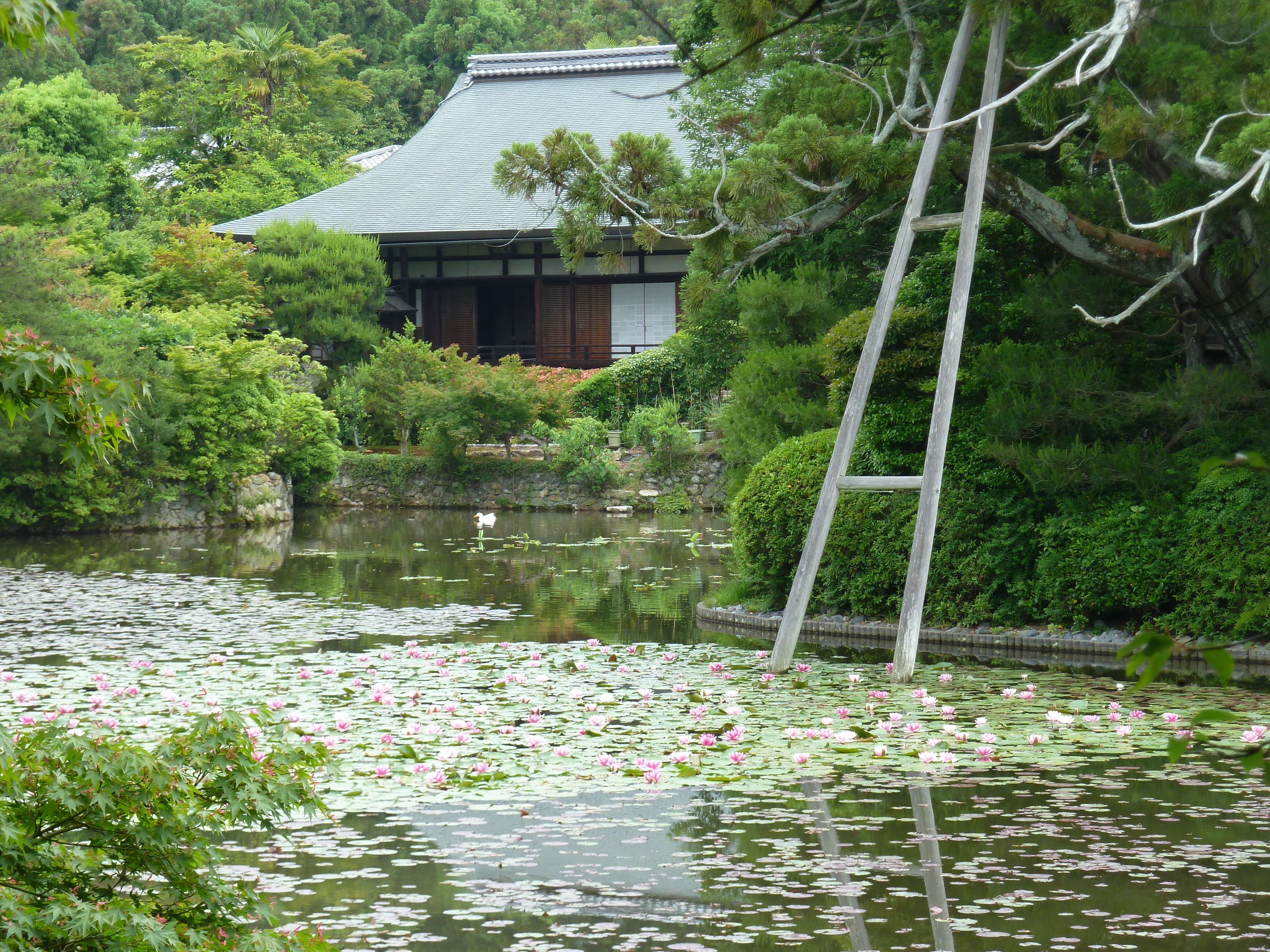 Picture Japan 2010-06 62 - Recreation Japan