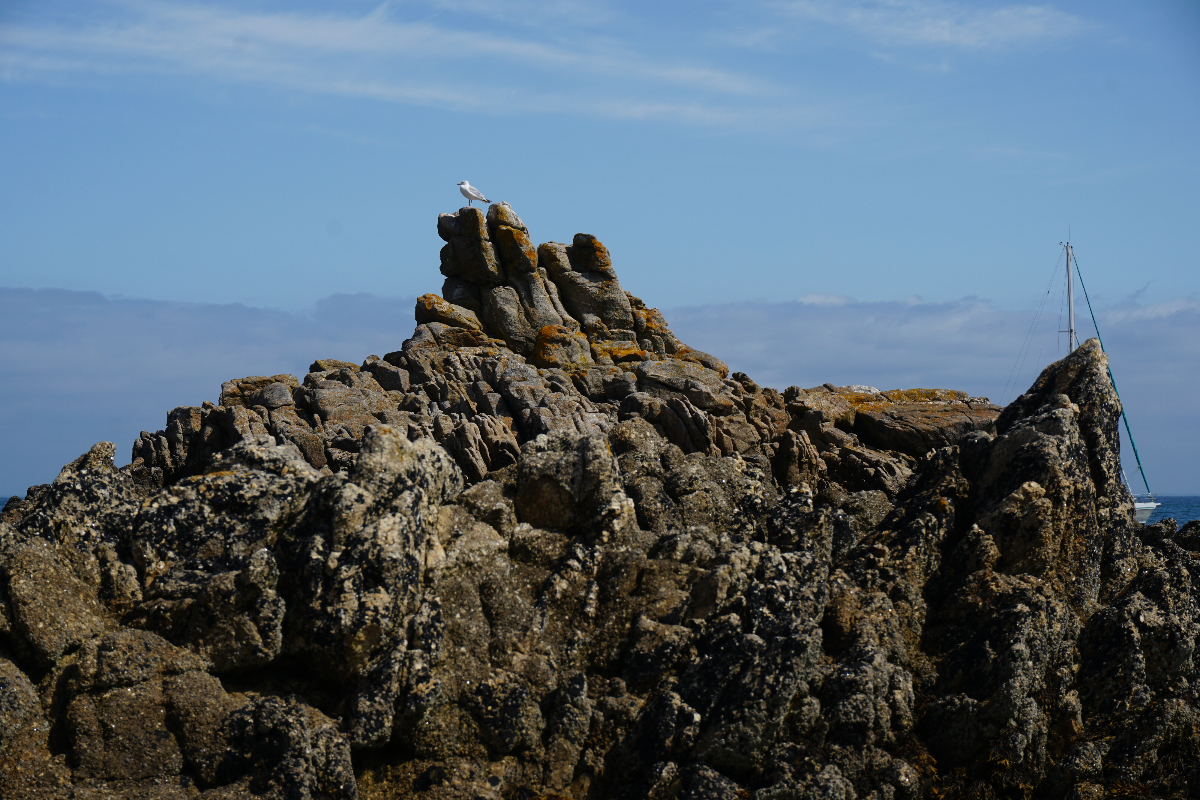 Picture France Hoedic 2016-08 24 - Discovery Hoedic