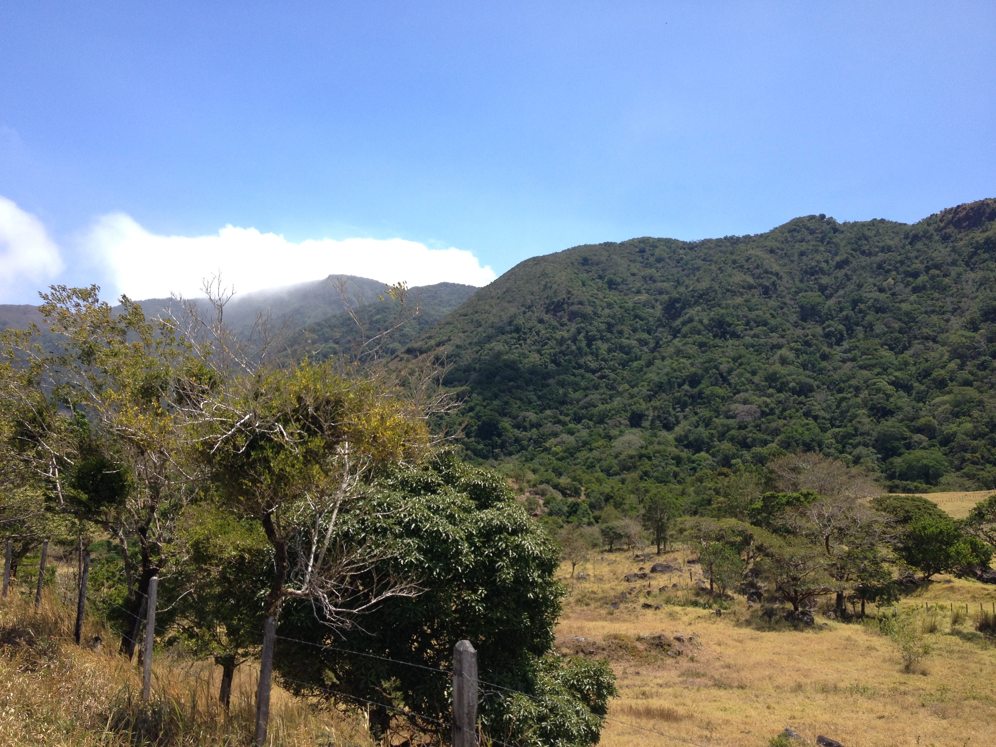 Picture Panama David to Bocas del toro 2015-03 112 - Journey David to Bocas del toro