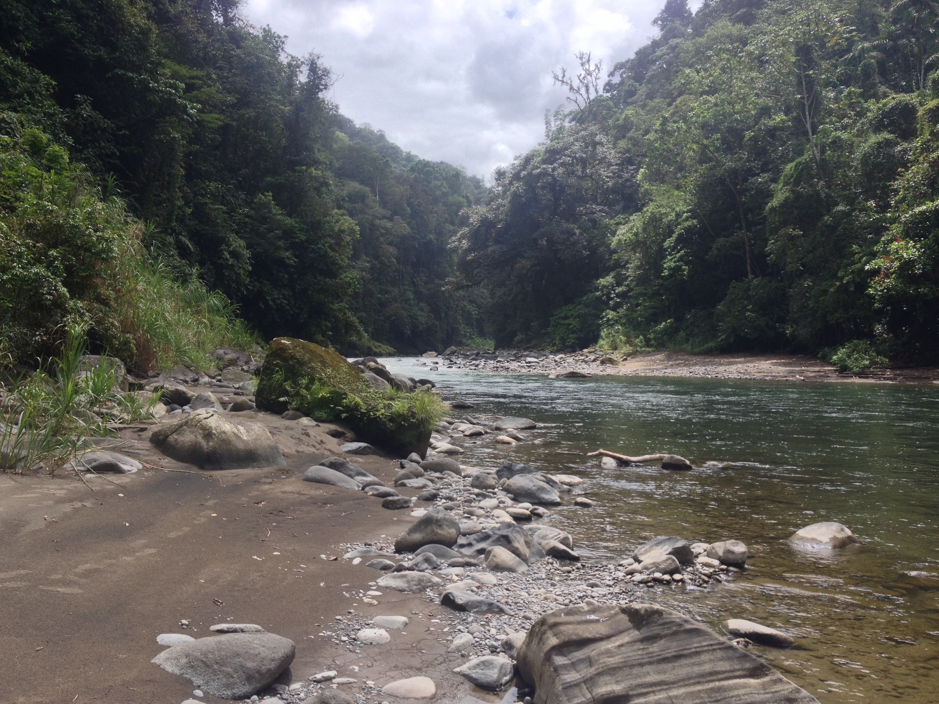 Picture Costa Rica Pacuare River 2015-03 91 - Journey Pacuare River