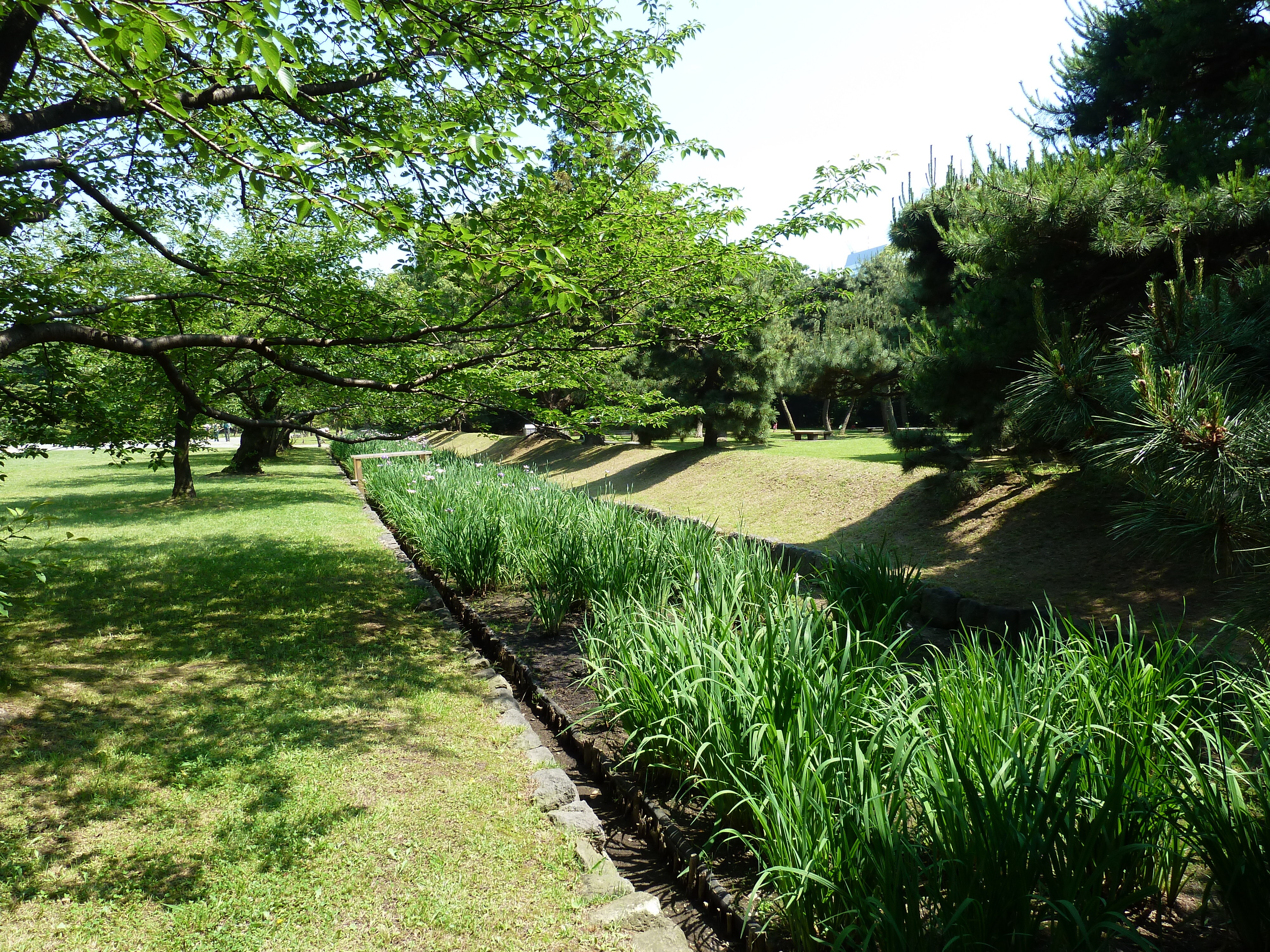 Picture Japan Tokyo Hama rikyu Gardens 2010-06 74 - Discovery Hama rikyu Gardens