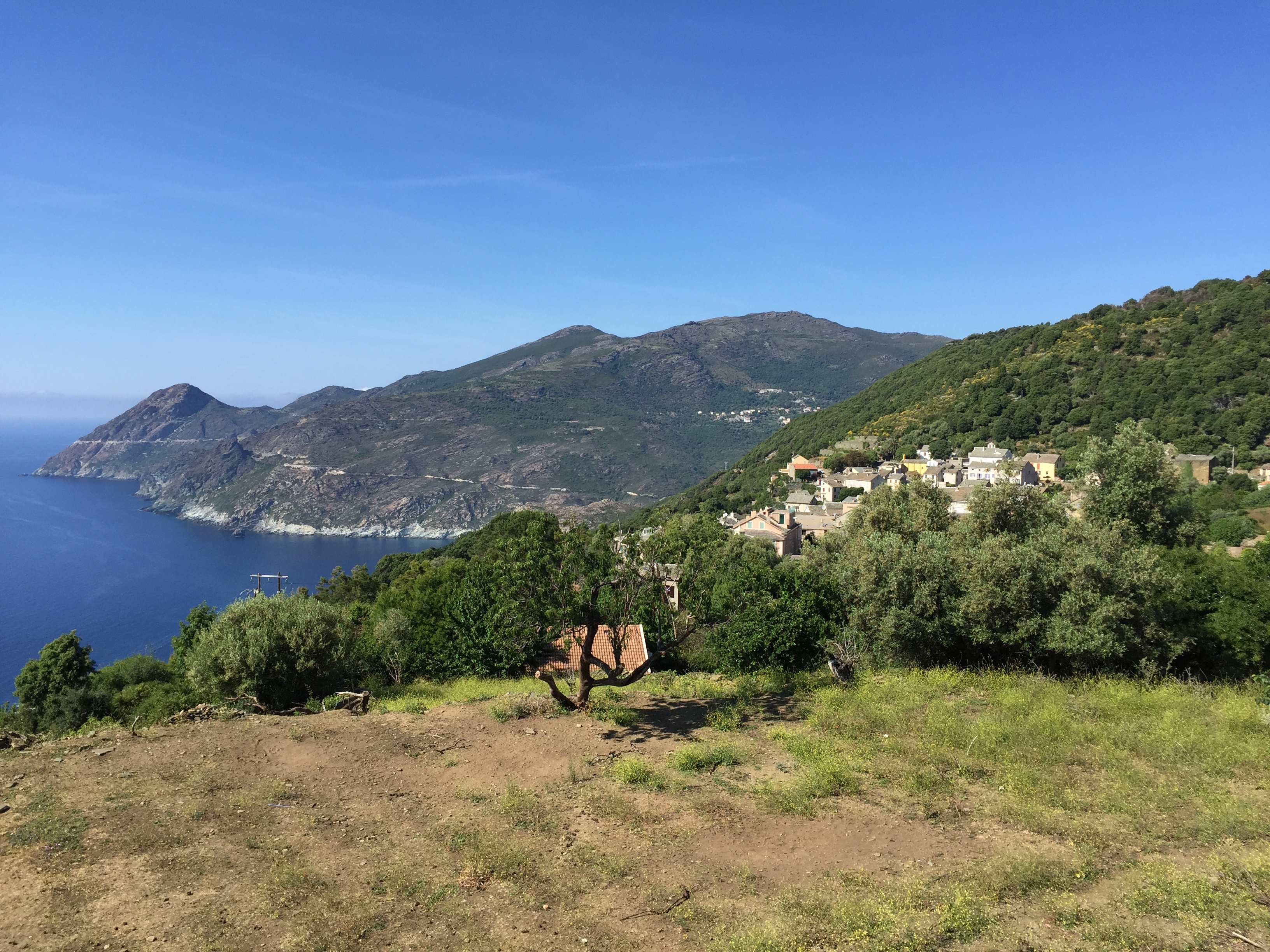 Picture France Corsica Corsican Cape 2015-05 8 - Tour Corsican Cape