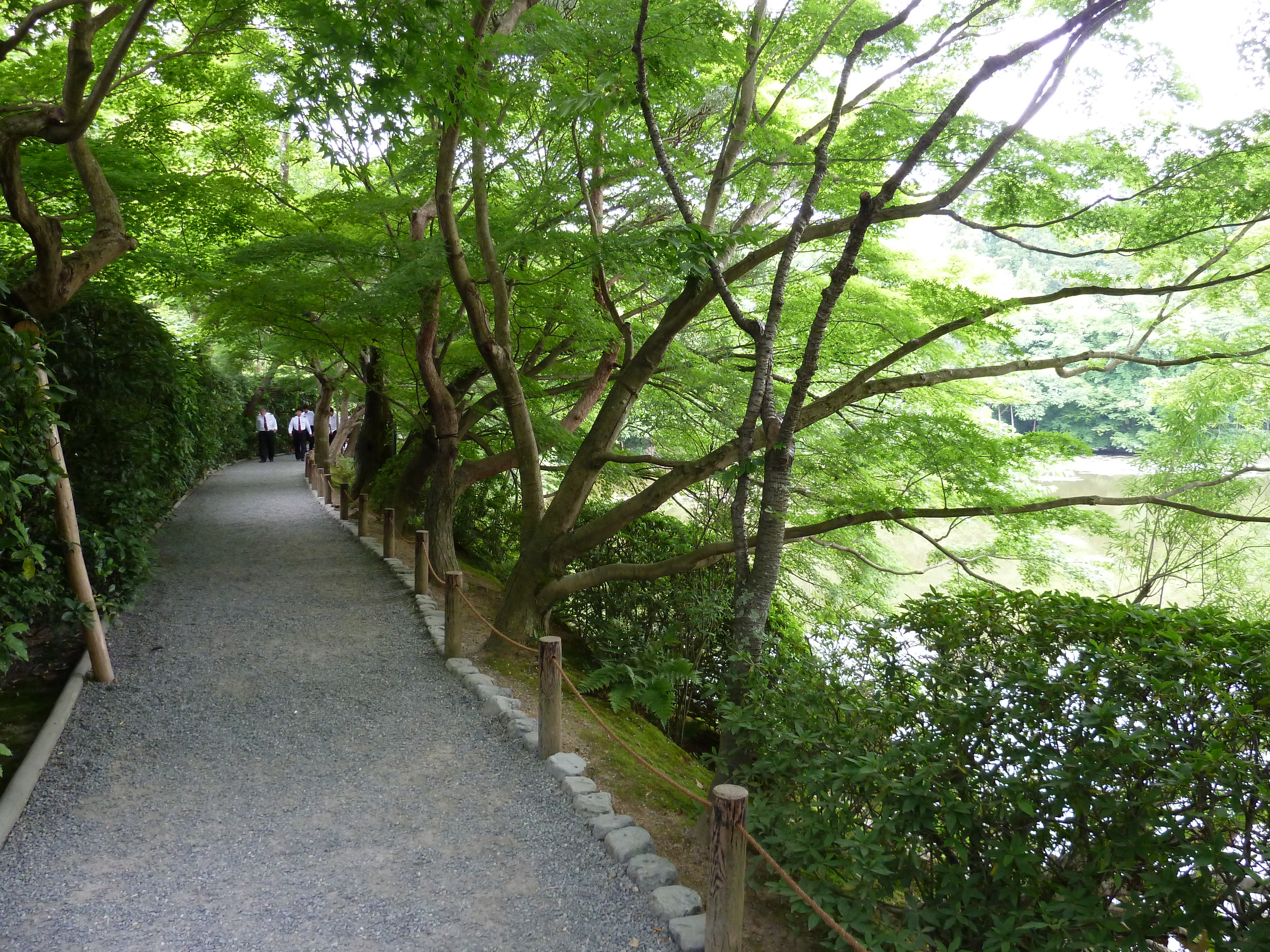 Picture Japan Kyoto Ryoanji Temple 2010-06 48 - Center Ryoanji Temple