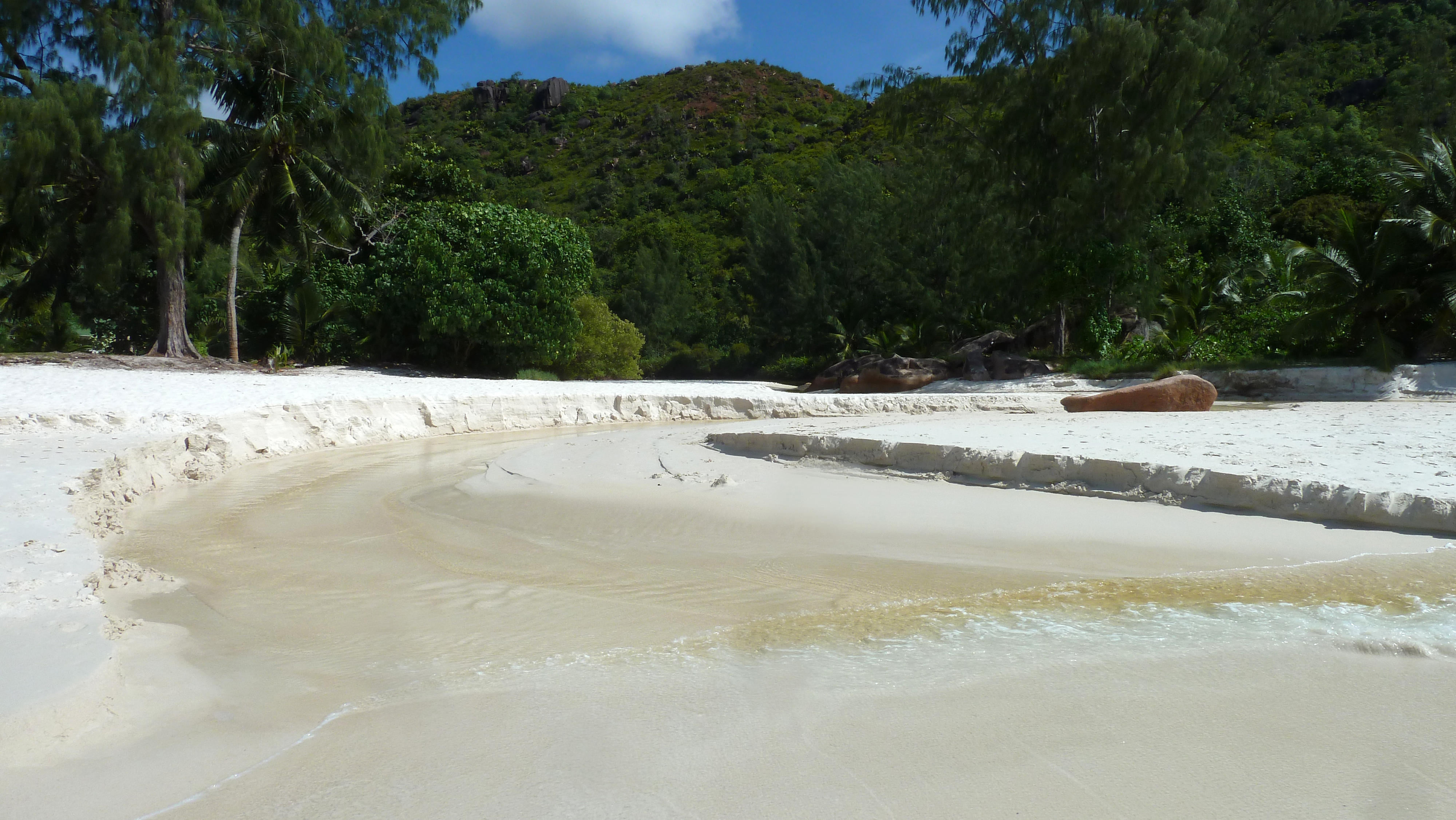 Picture Seychelles Anse Lazio 2011-10 54 - Around Anse Lazio