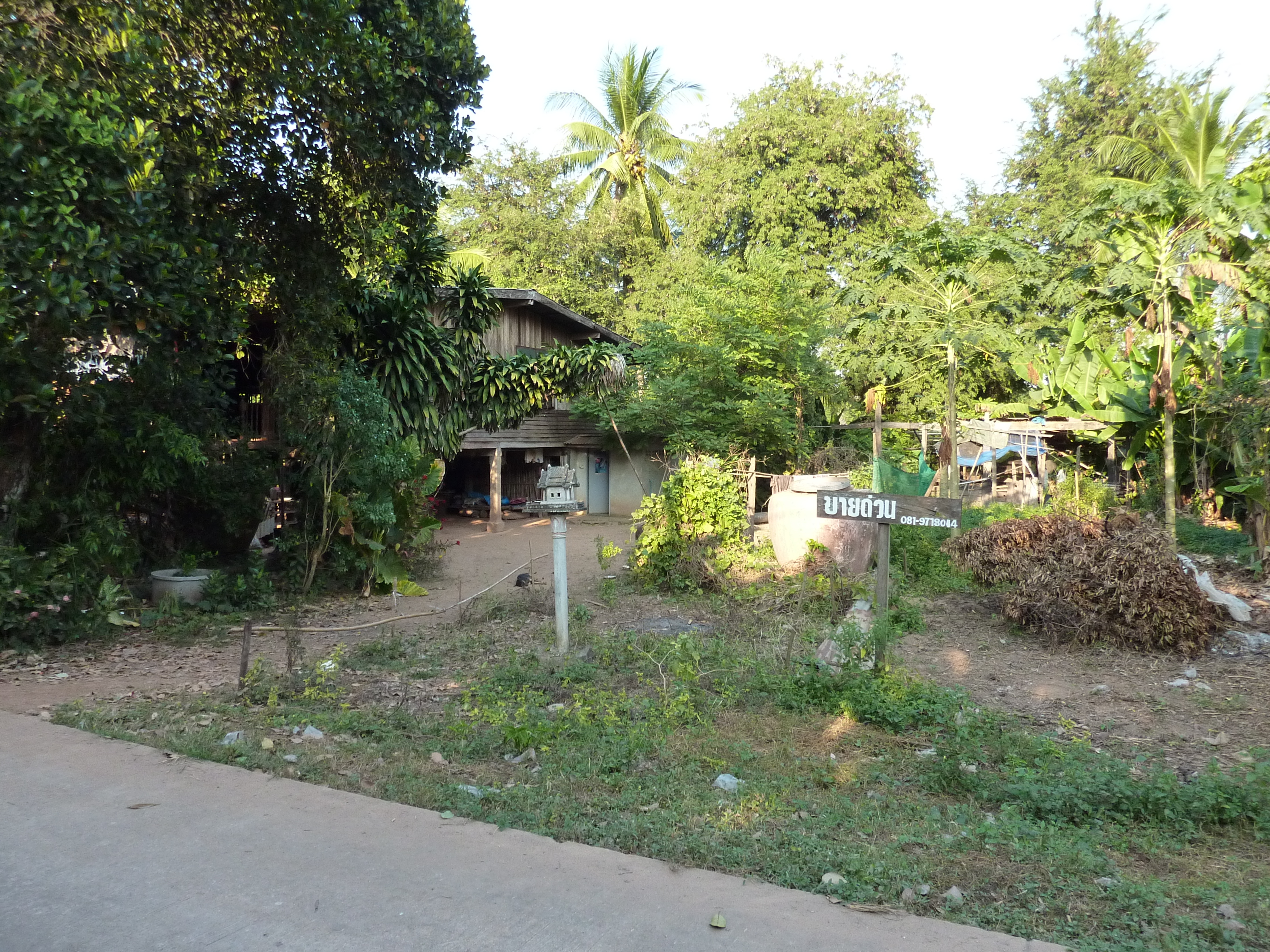 Picture Thailand Phitsanulok Chom Thong 2009-12 17 - Discovery Chom Thong